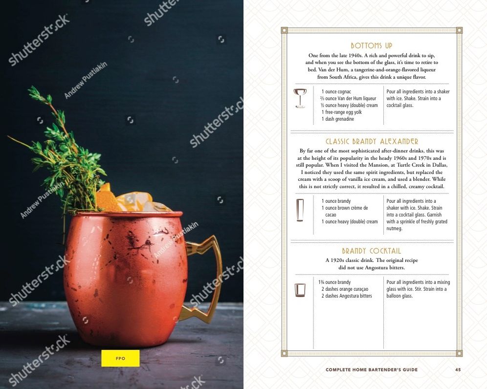 The Complete Home Bartender's Guide: Tools, Ingredients, Techniques, & Recipes for the Perfect Drink - A Cocktail Book