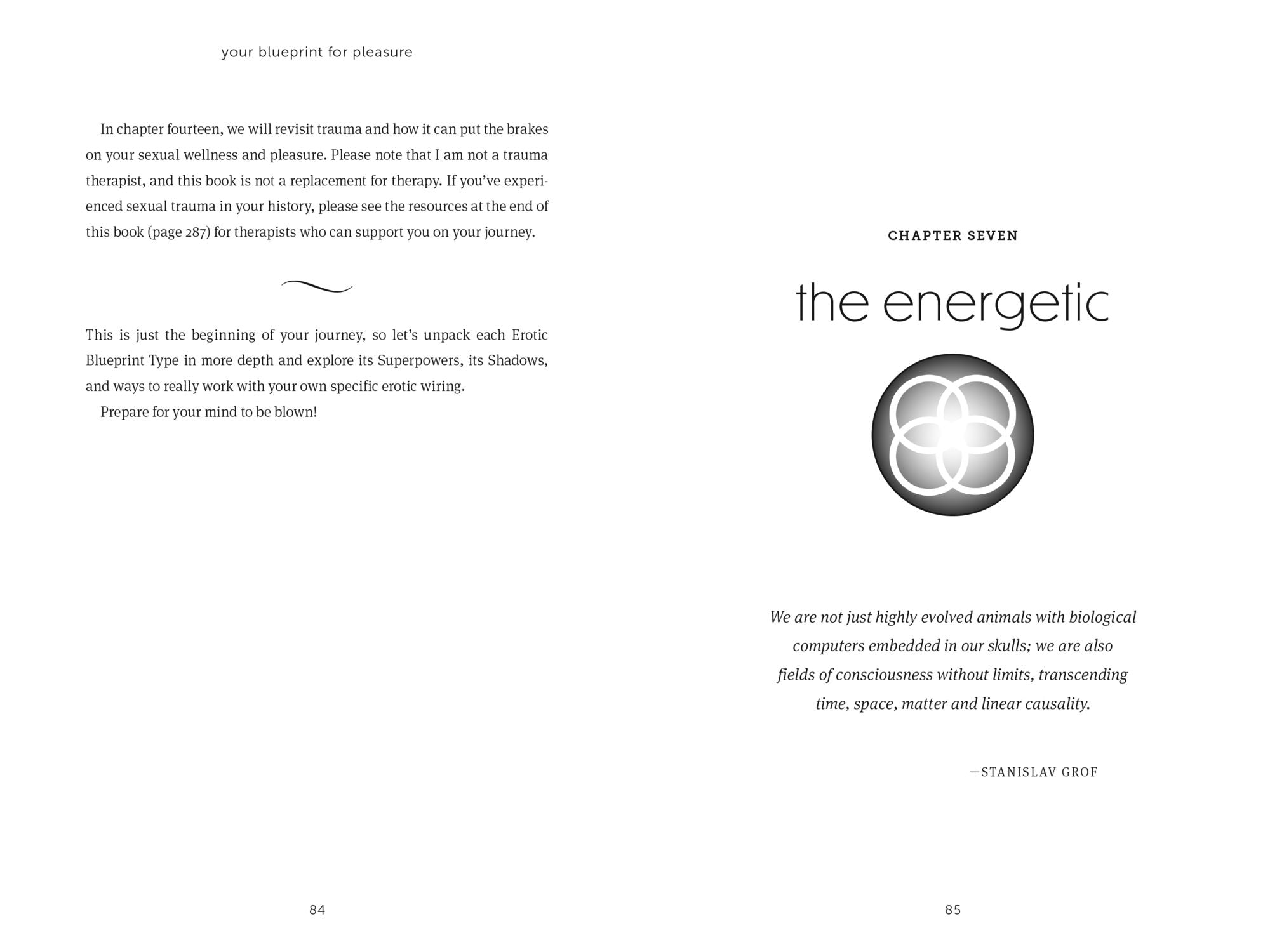 Your Blueprint for Pleasure: Discover the 5 Erotic Types to Awaken-and Fulfill-Your Desires