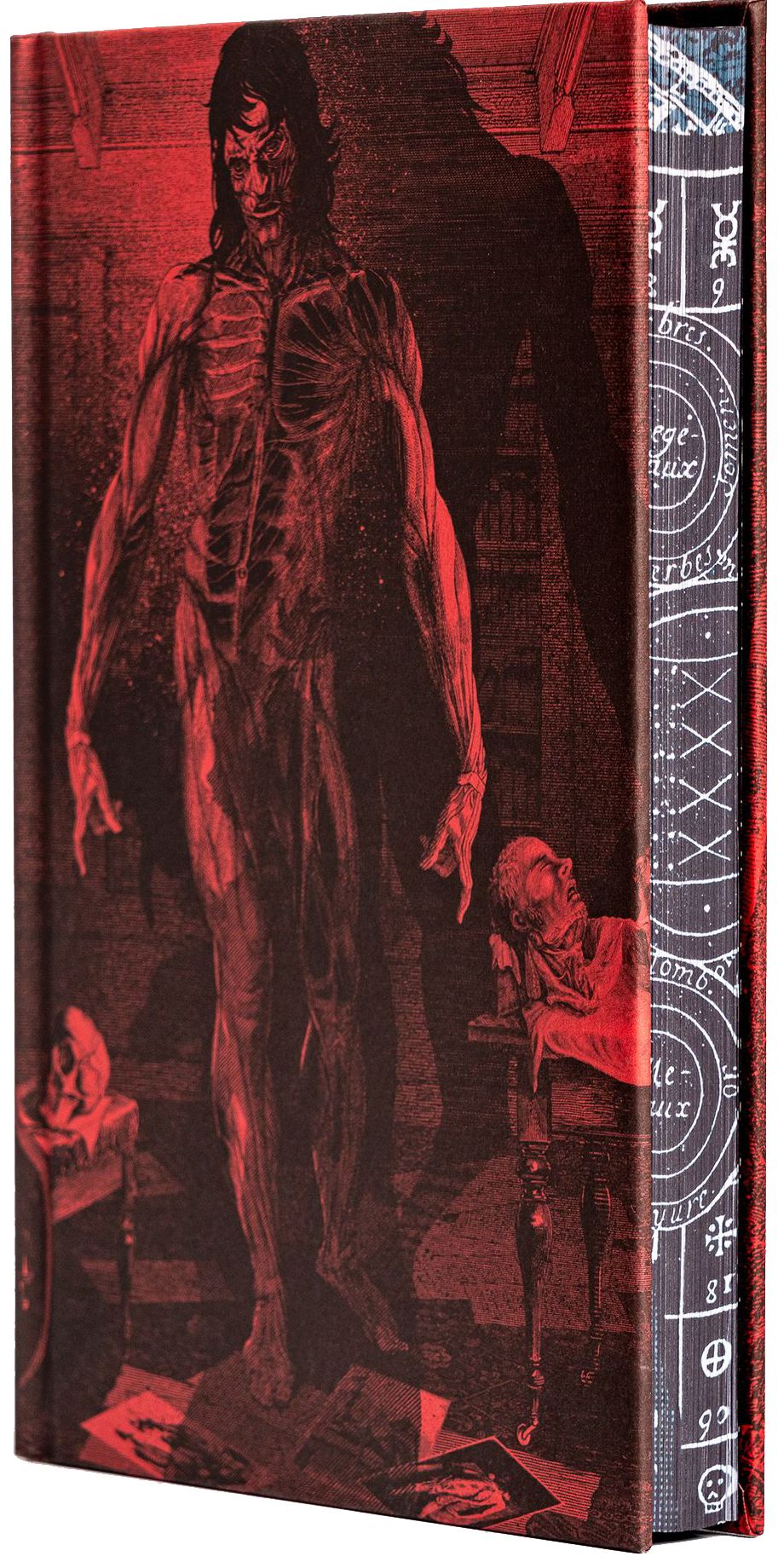 Frankenstein: Deluxe Illustrated Classics