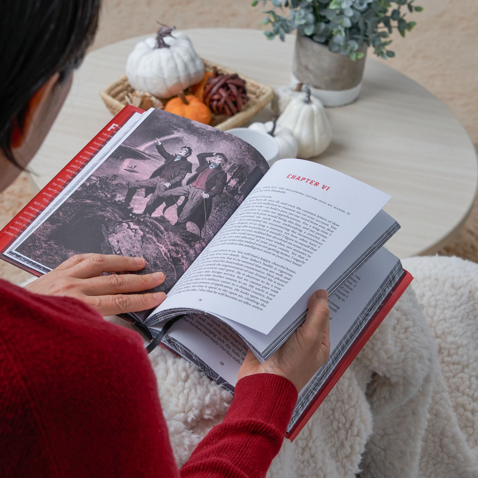 Frankenstein: Deluxe Illustrated Classics