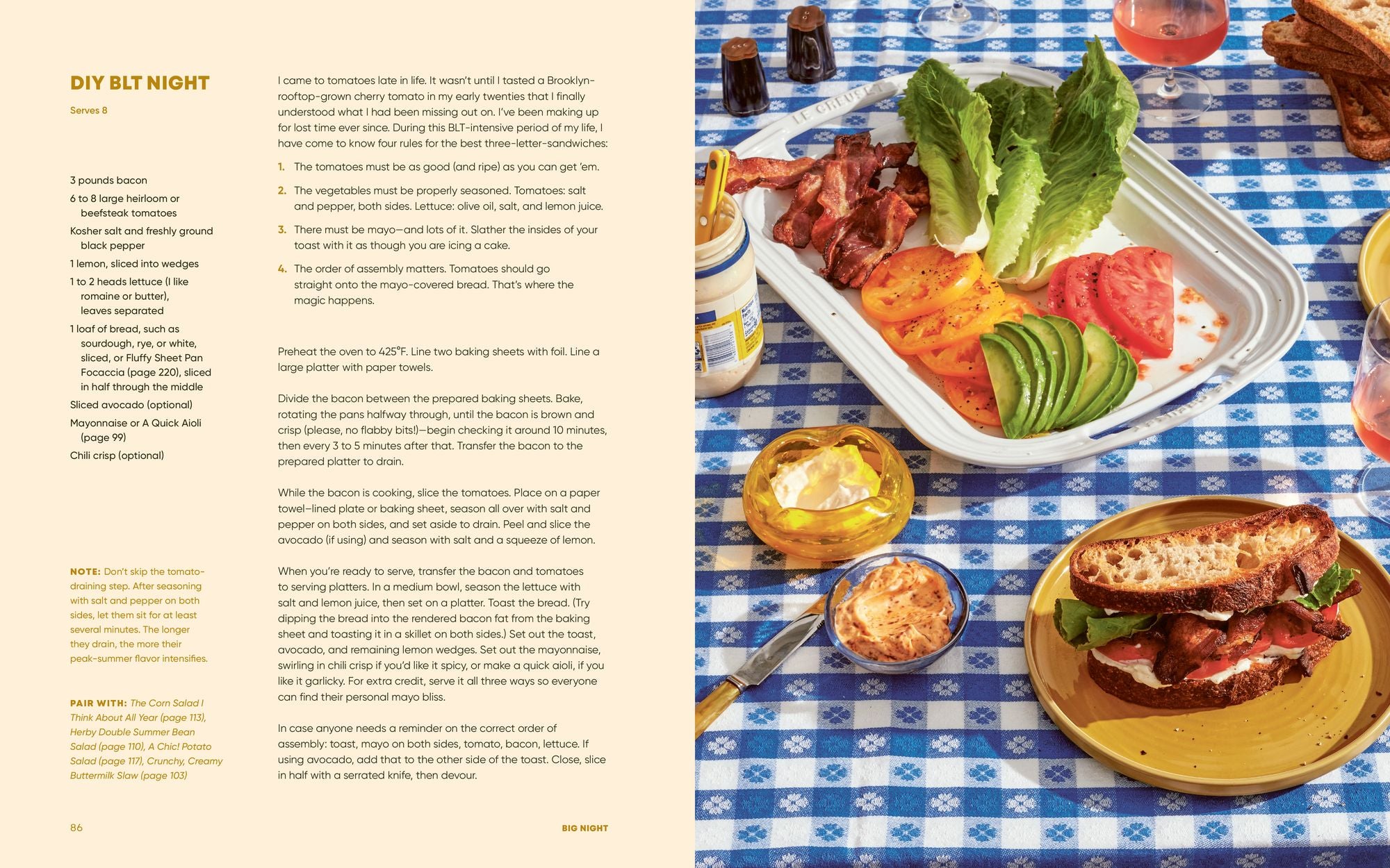Big Night: Dinners, Parties & Dinner Parties - A Cookbook