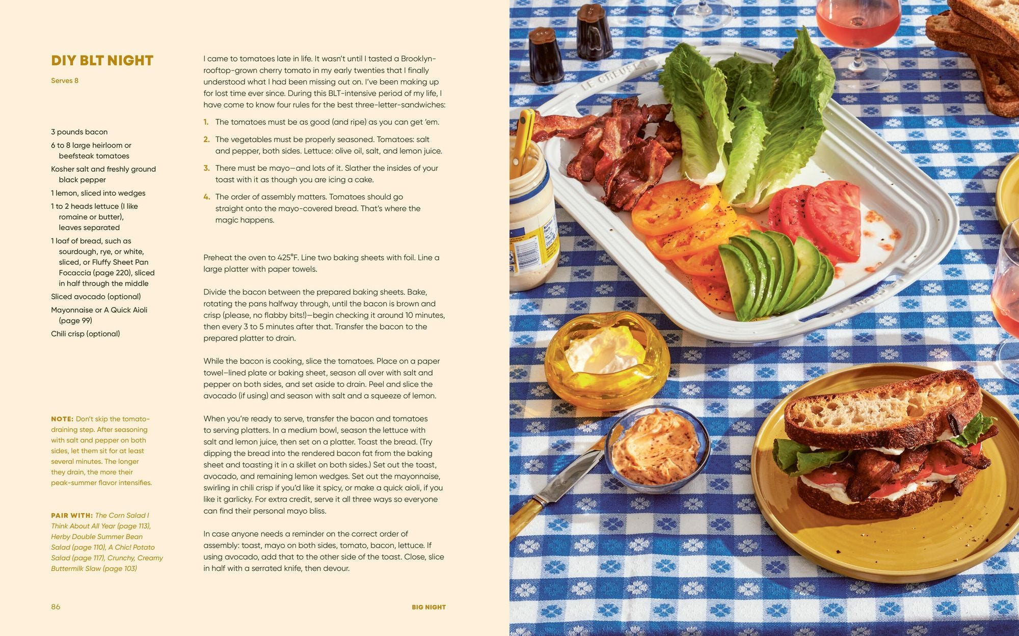 Big Night: Dinners, Parties & Dinner Parties - A Cookbook