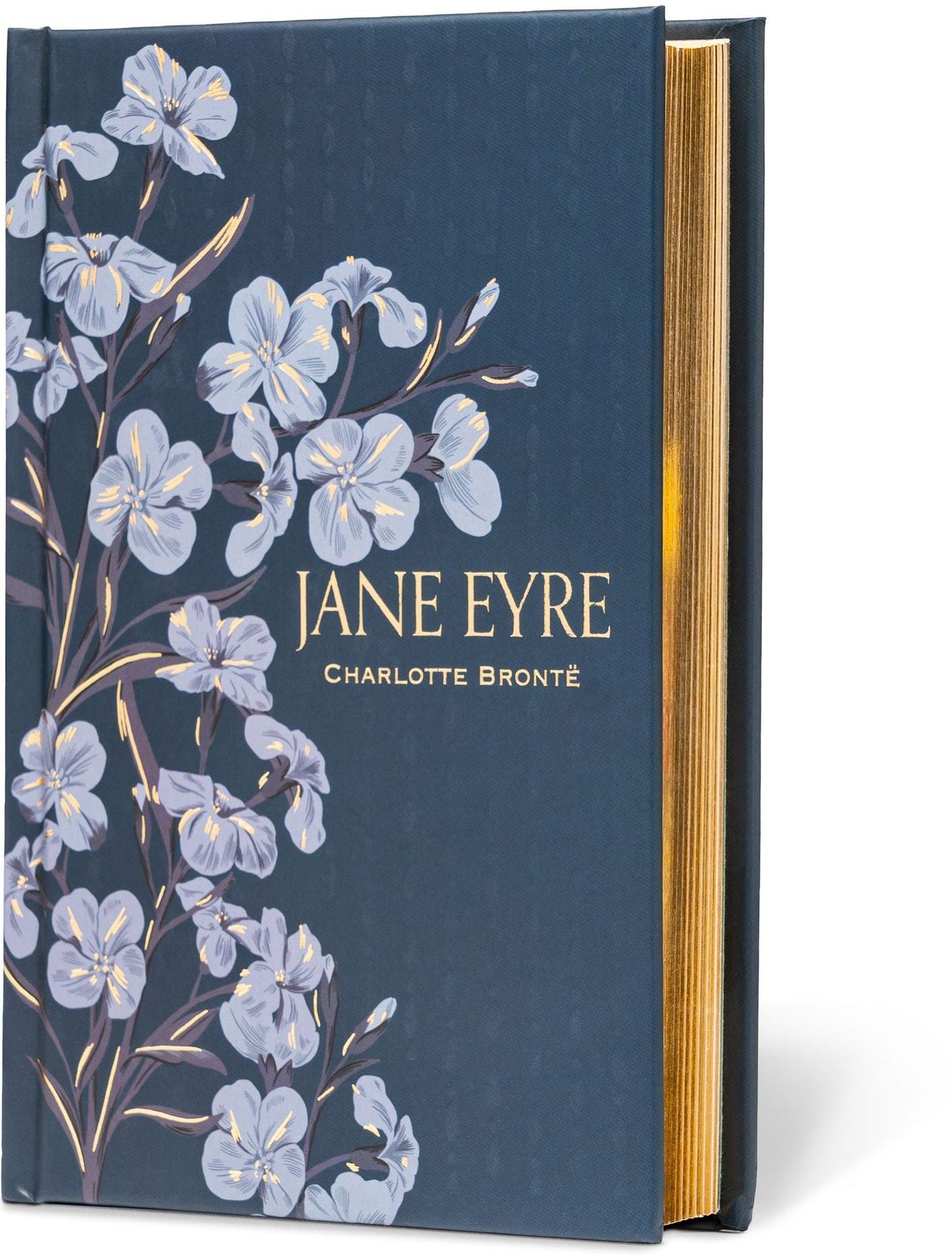 Jane Eyre (Special Edition)