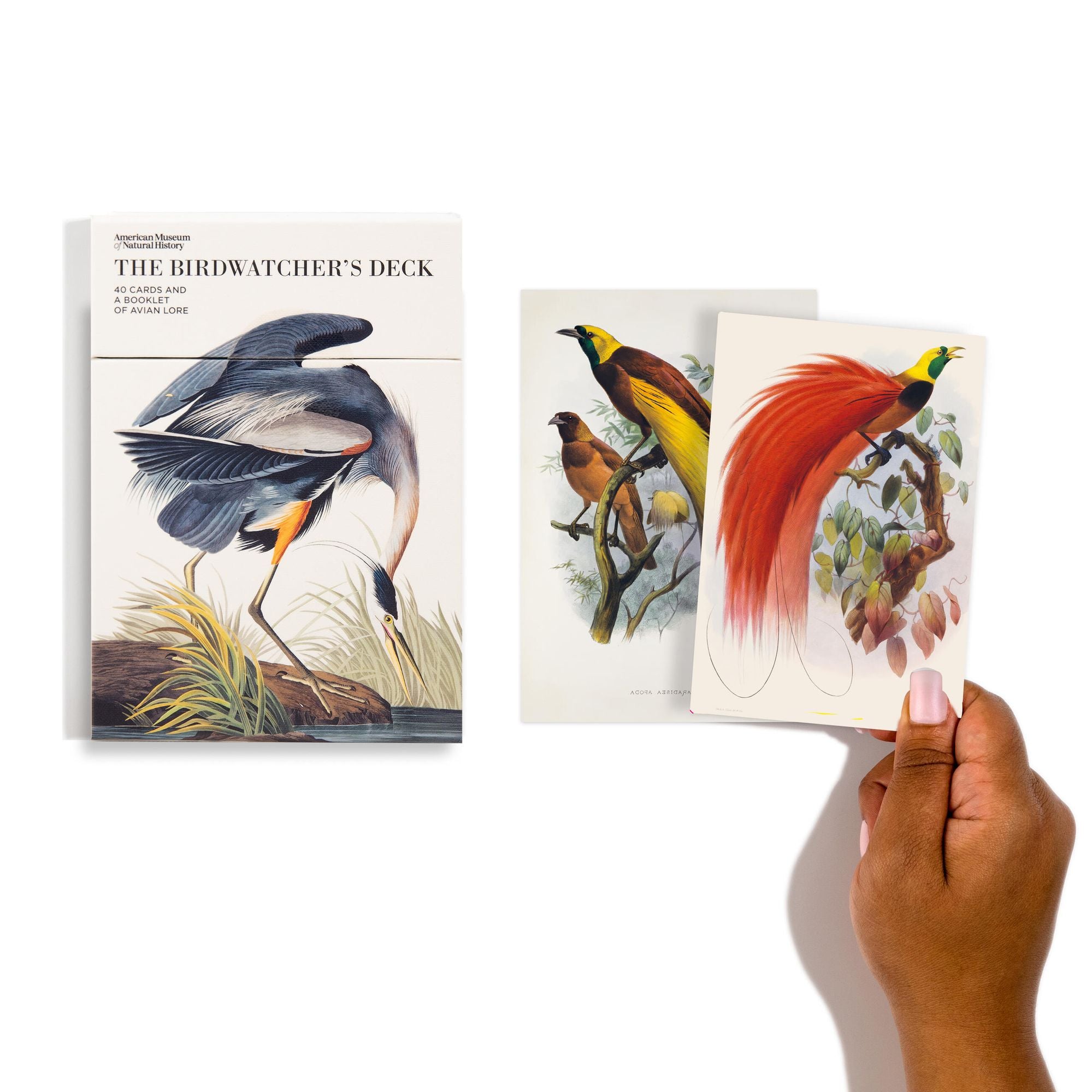 The Birdwatcher's Deck: 40 Cards and a Booklet of Avian Lore