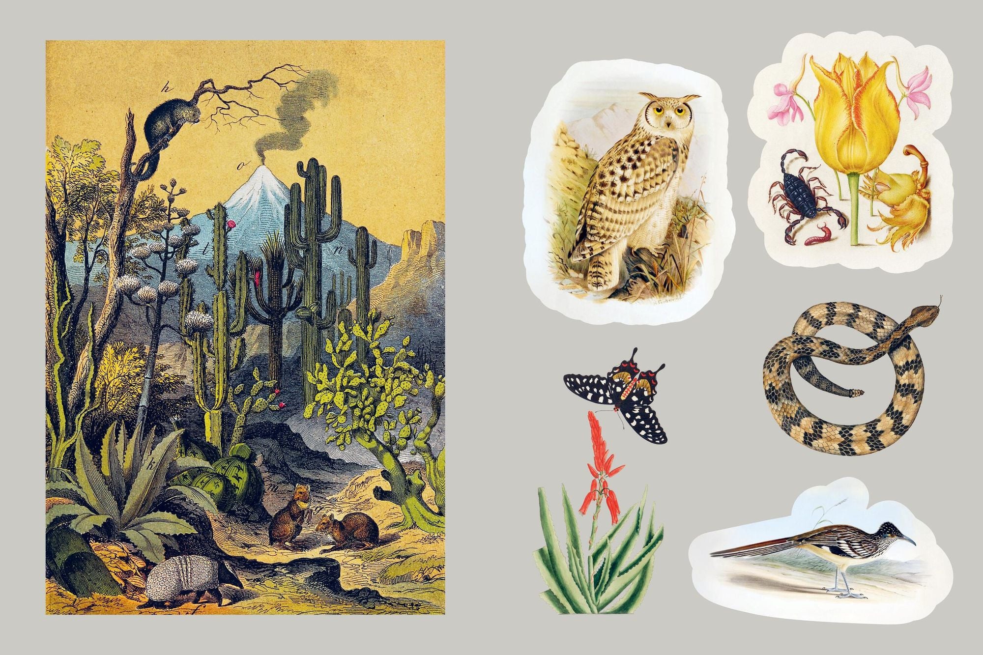 Mystical Earth Sticker Book: 400 Stickers Inspired by the Beauty & Mythology of Nature