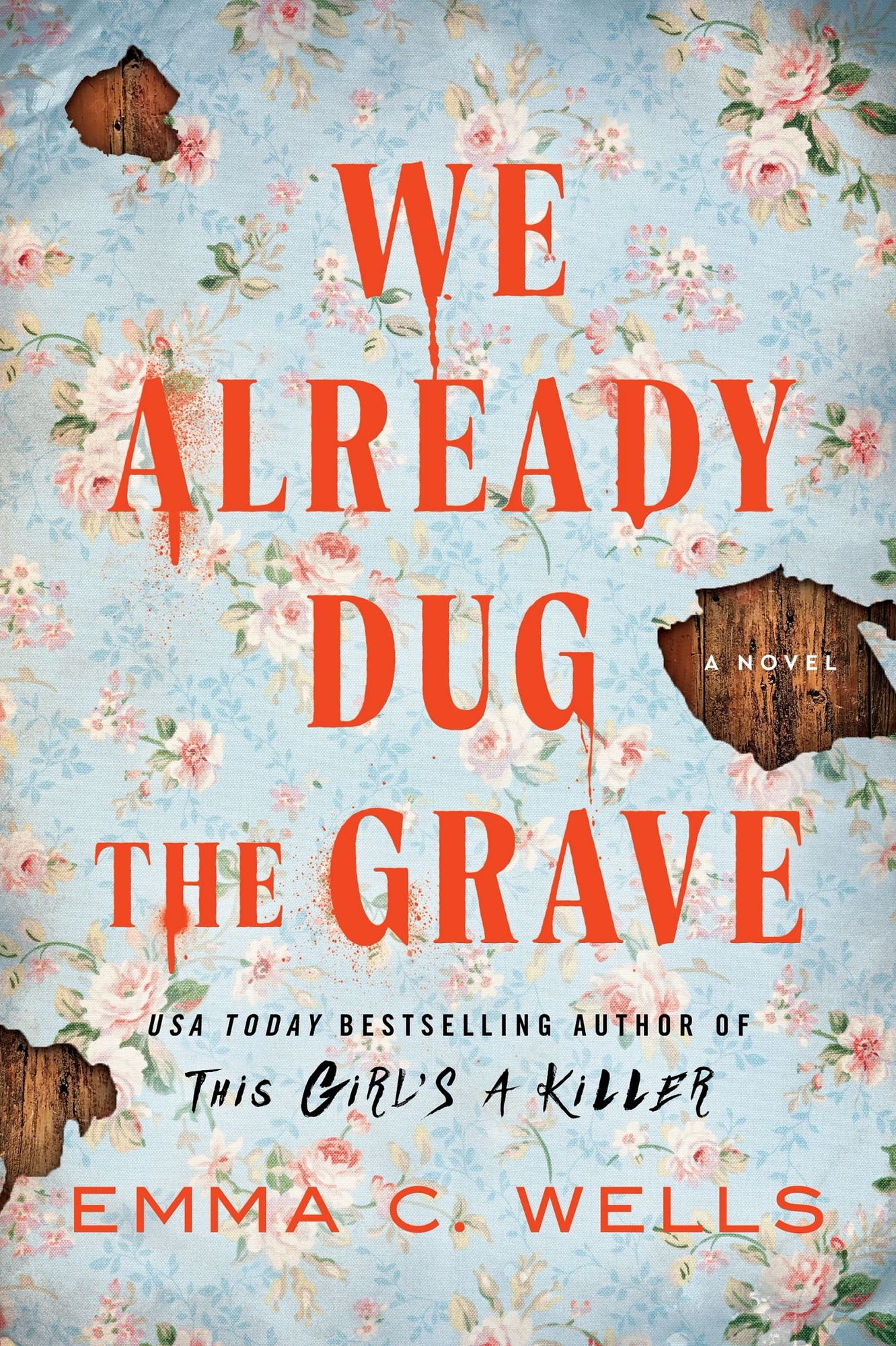 We Already Dug the Grave: A Novel