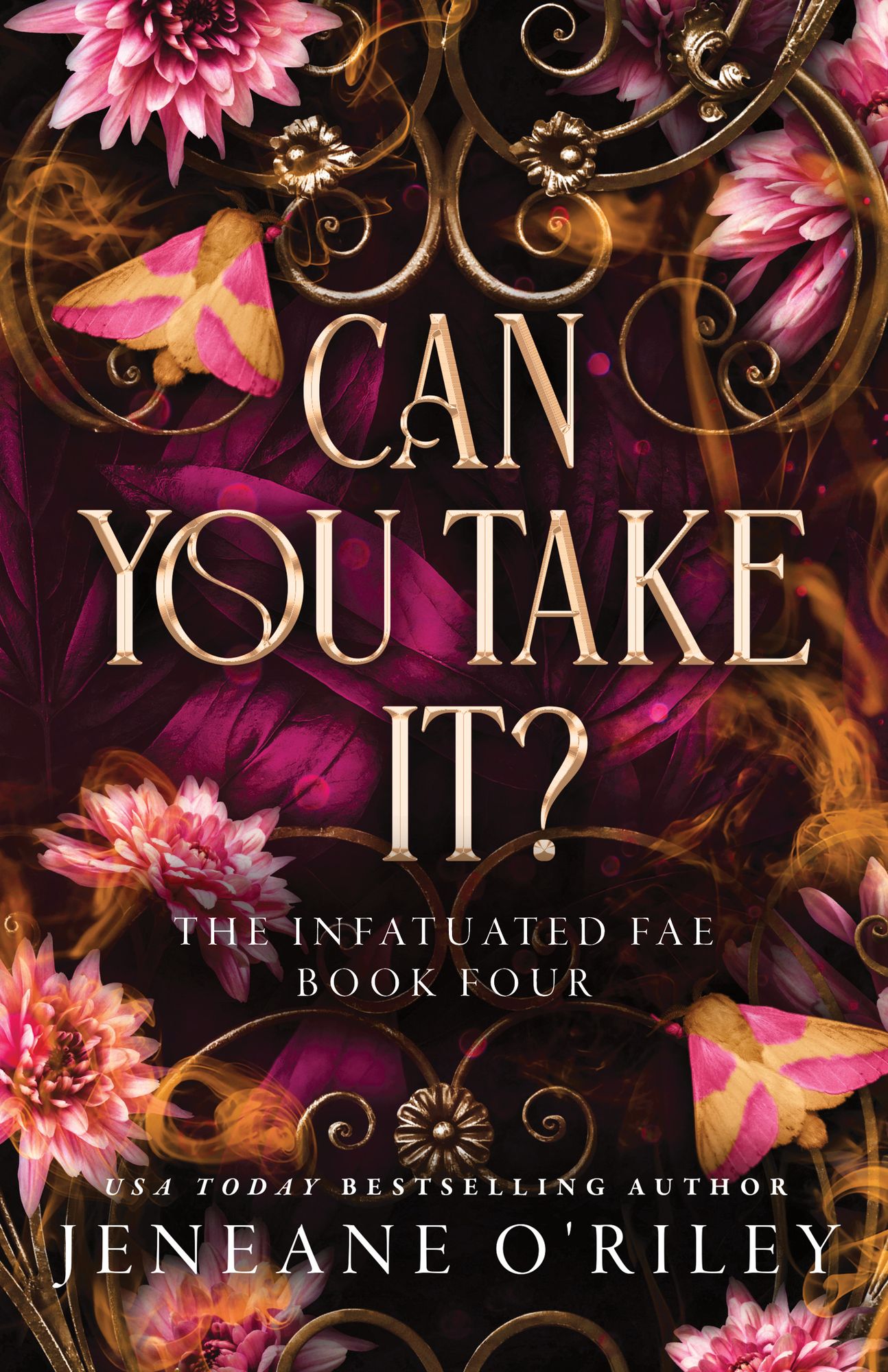 Can You Take It? (Standard Edition)