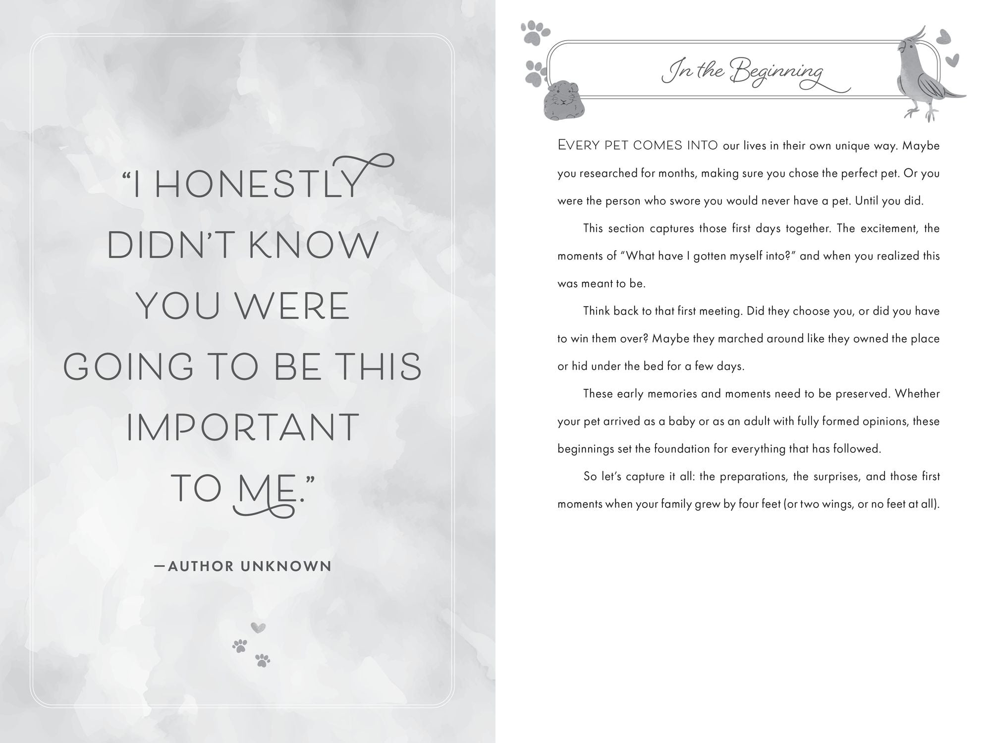 Because You Are Mine: A Hear Your Story(R) Guided Journal to Celebrate Your Precious Pet