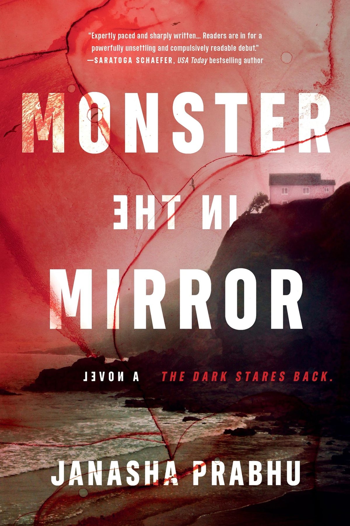 Monster in the Mirror: A Novel