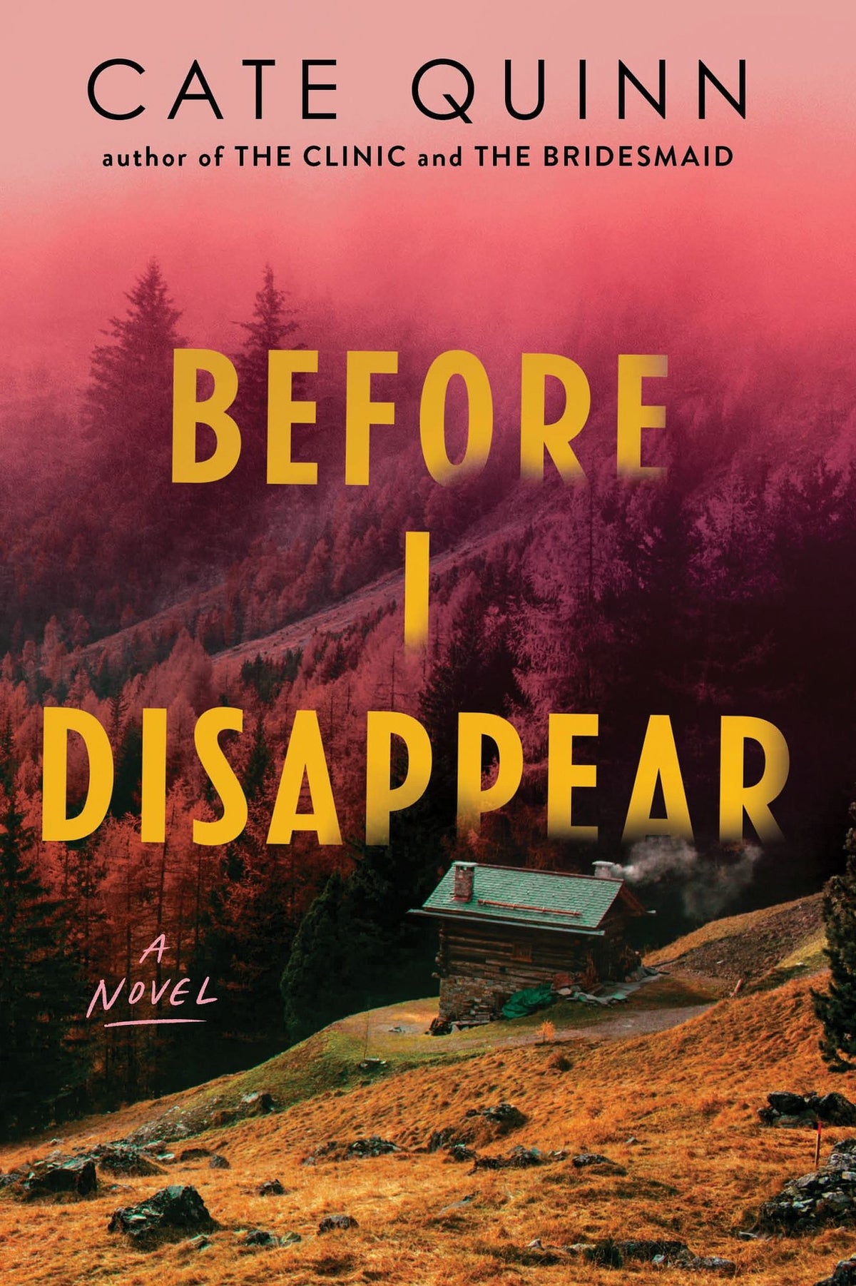 Before I Disappear: A Novel
