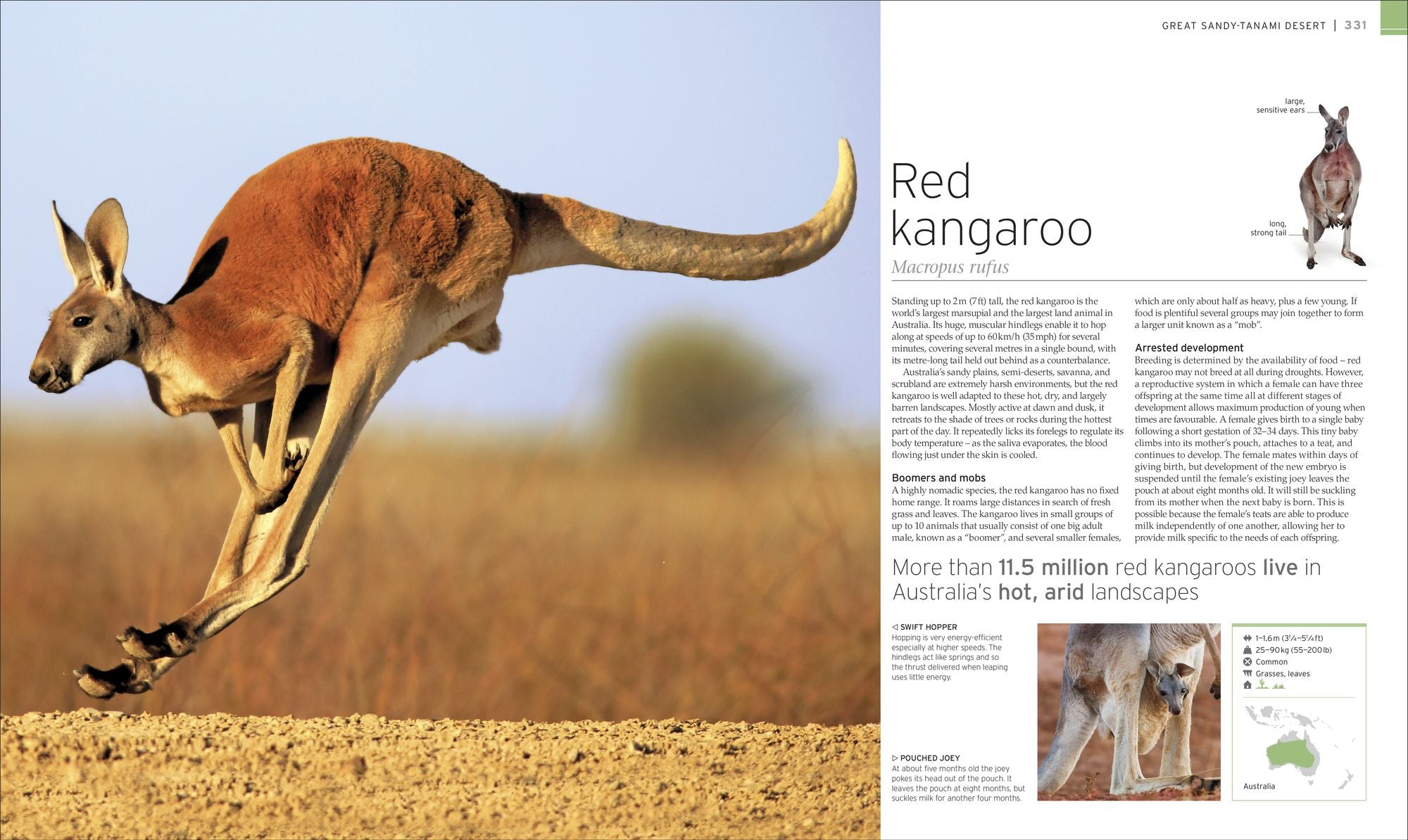 Wildlife of the World