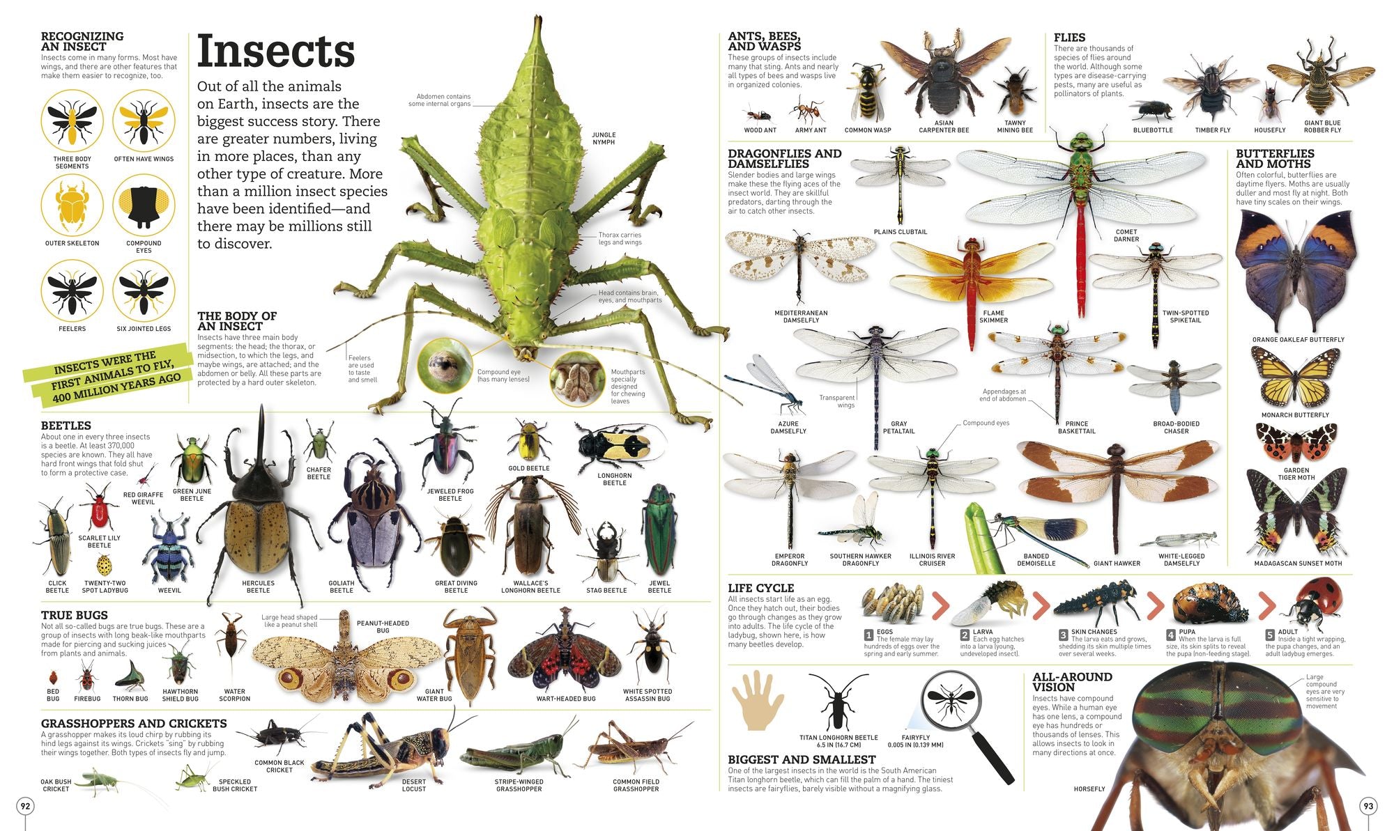 Picturepedia, Second Edition: An Encyclopedia on Every Page