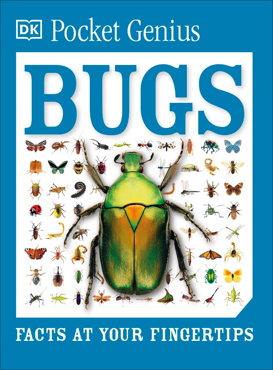 Pocket Genius Bugs: Facts at Your Fingertips
