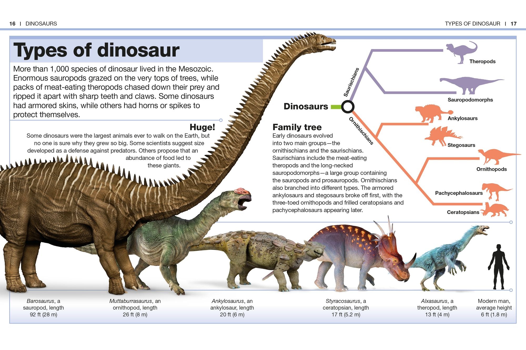 Pocket Genius Dinosaurs: Facts at Your Fingertips