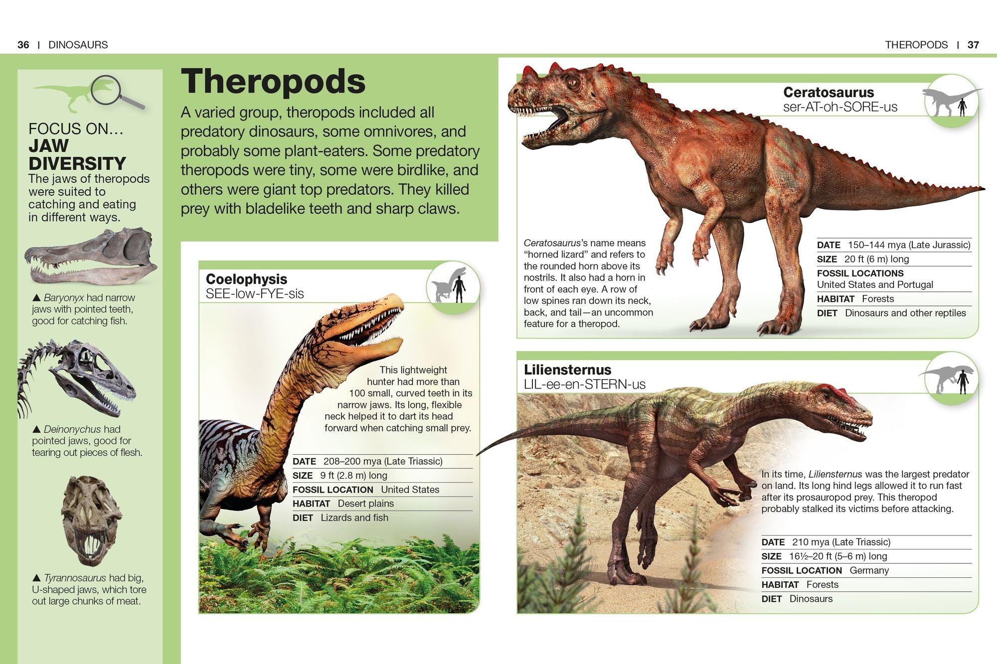 Pocket Genius Dinosaurs: Facts at Your Fingertips