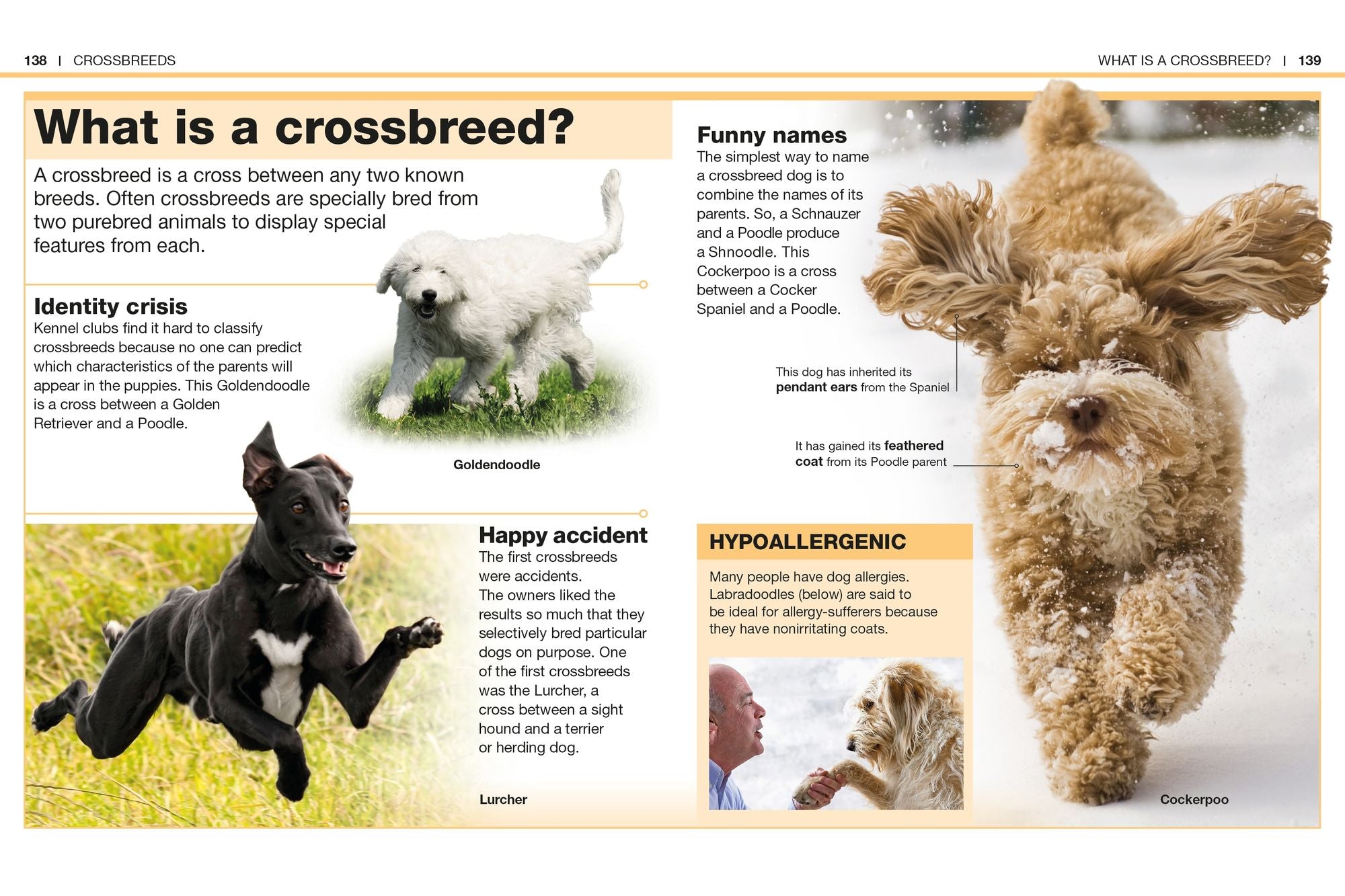 Pocket Genius Dogs: Facts at Your Fingertips
