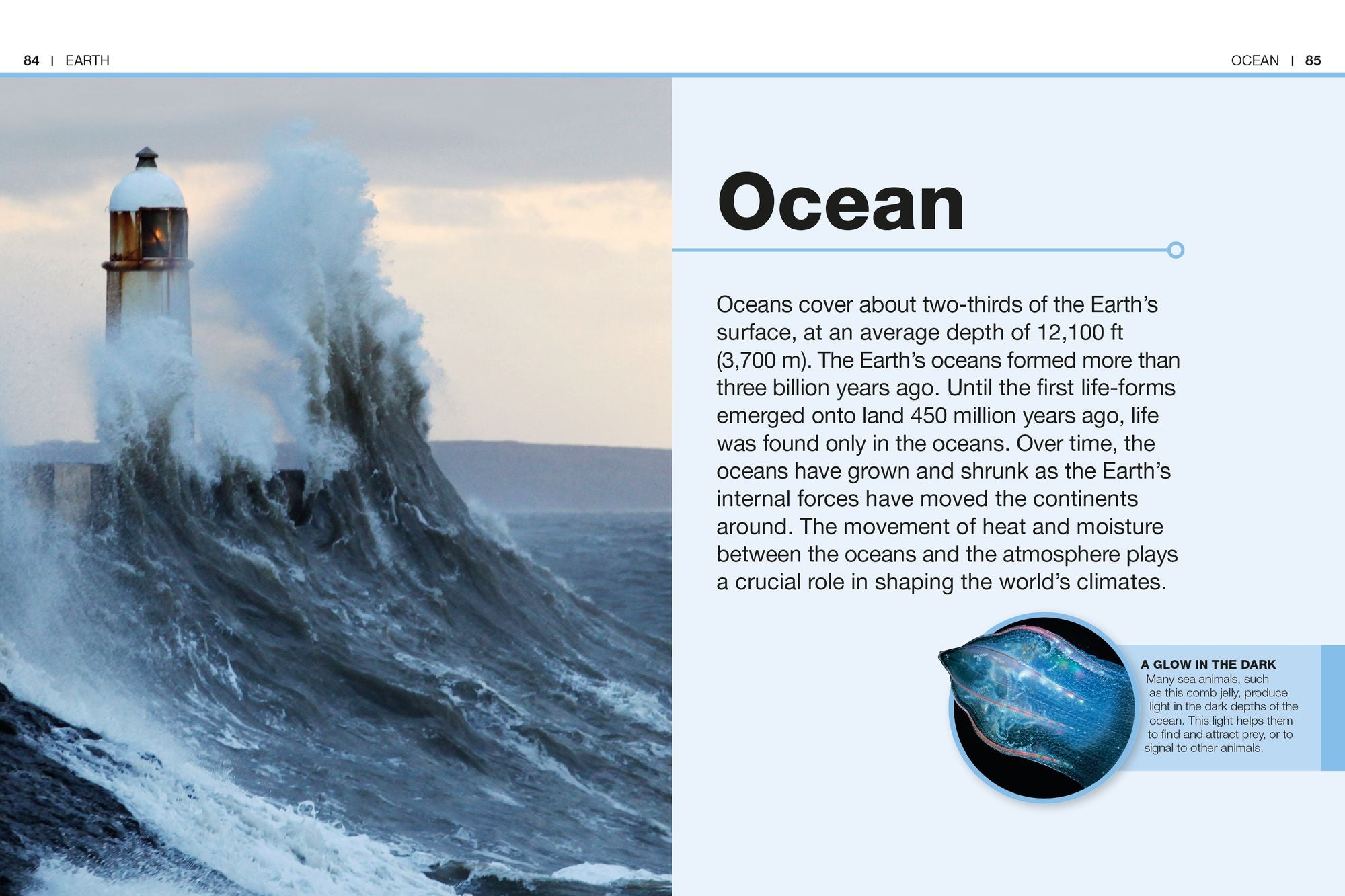 Pocket Genius Earth: Facts at Your Fingertips