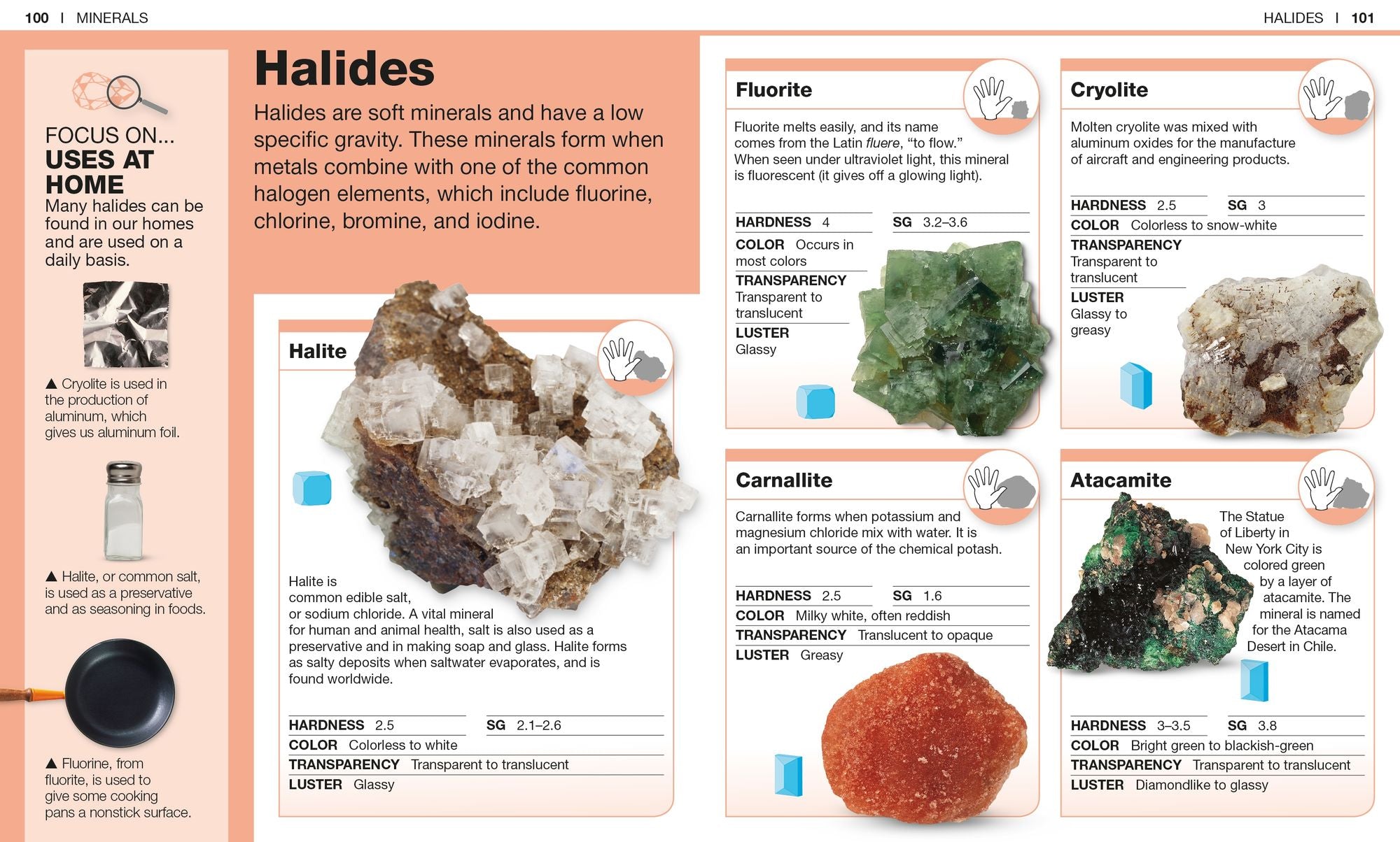 Pocket Genius Rocks and Minerals: Facts at Your Fingertips