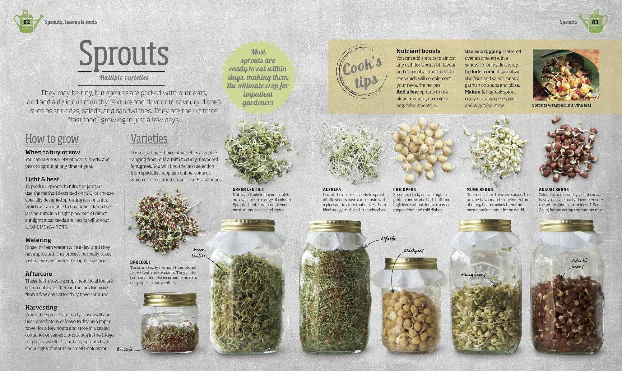 Indoor Edible Garden: Creative Ways to Grow Herbs, Fruits, and Vegetables in Your Home