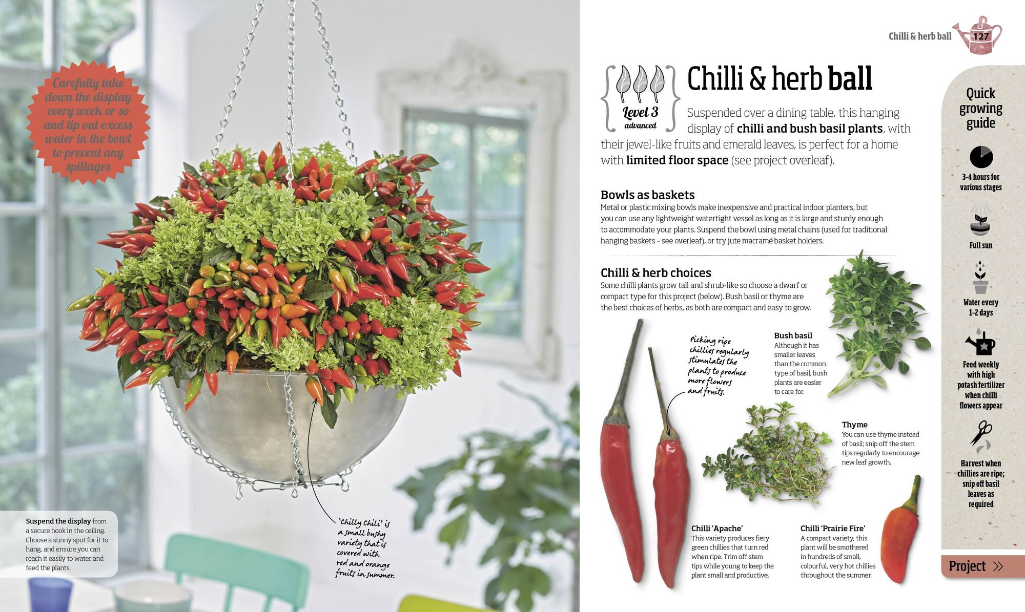 Indoor Edible Garden: Creative Ways to Grow Herbs, Fruits, and Vegetables in Your Home