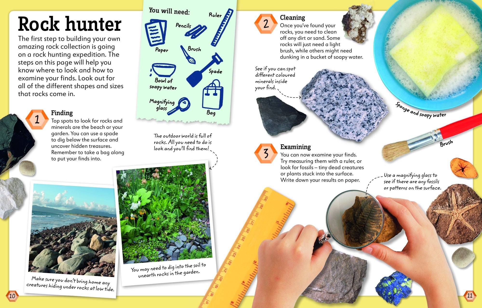 My Book of Rocks and Minerals: Things to Find, Collect, and Treasure