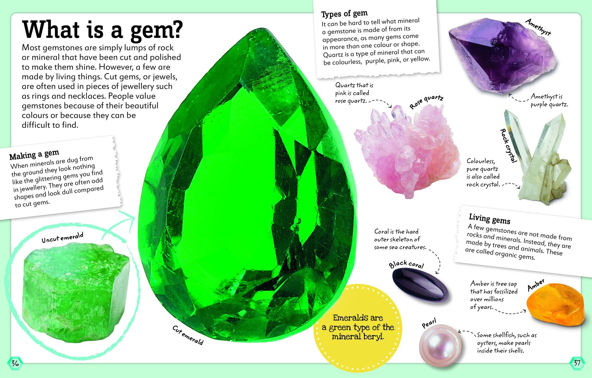 My Book of Rocks and Minerals: Things to Find, Collect, and Treasure
