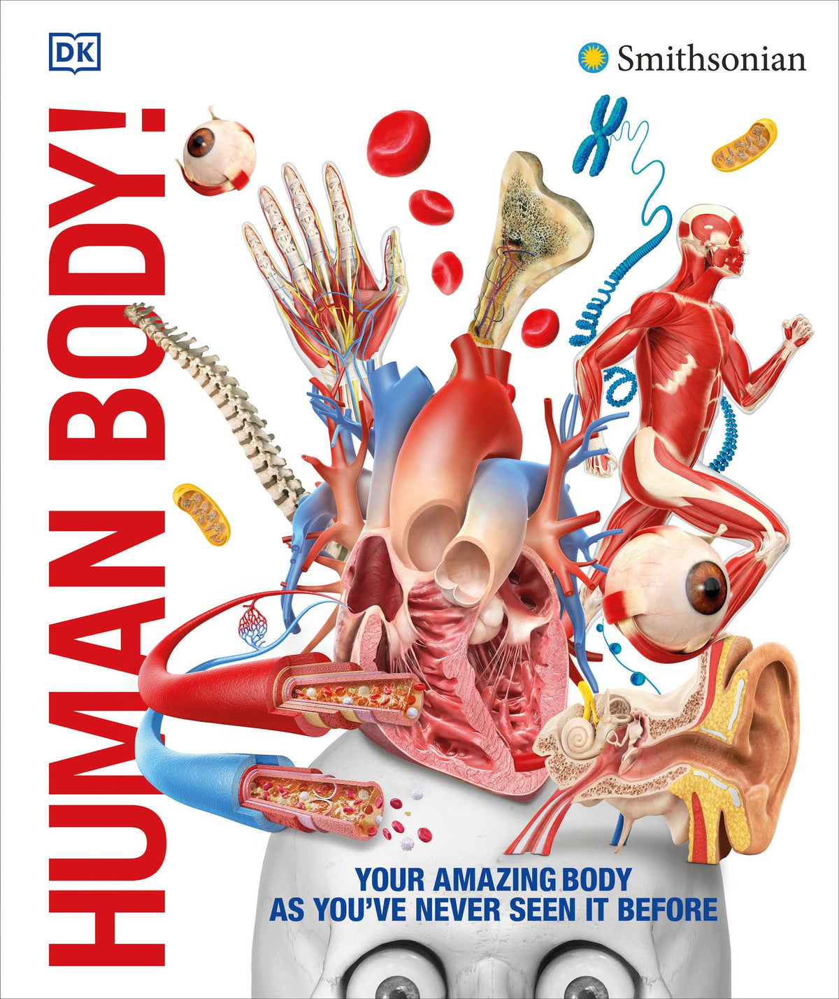 Knowledge Encyclopedia Human Body!: Human Anatomy as You've Never Seen It Before