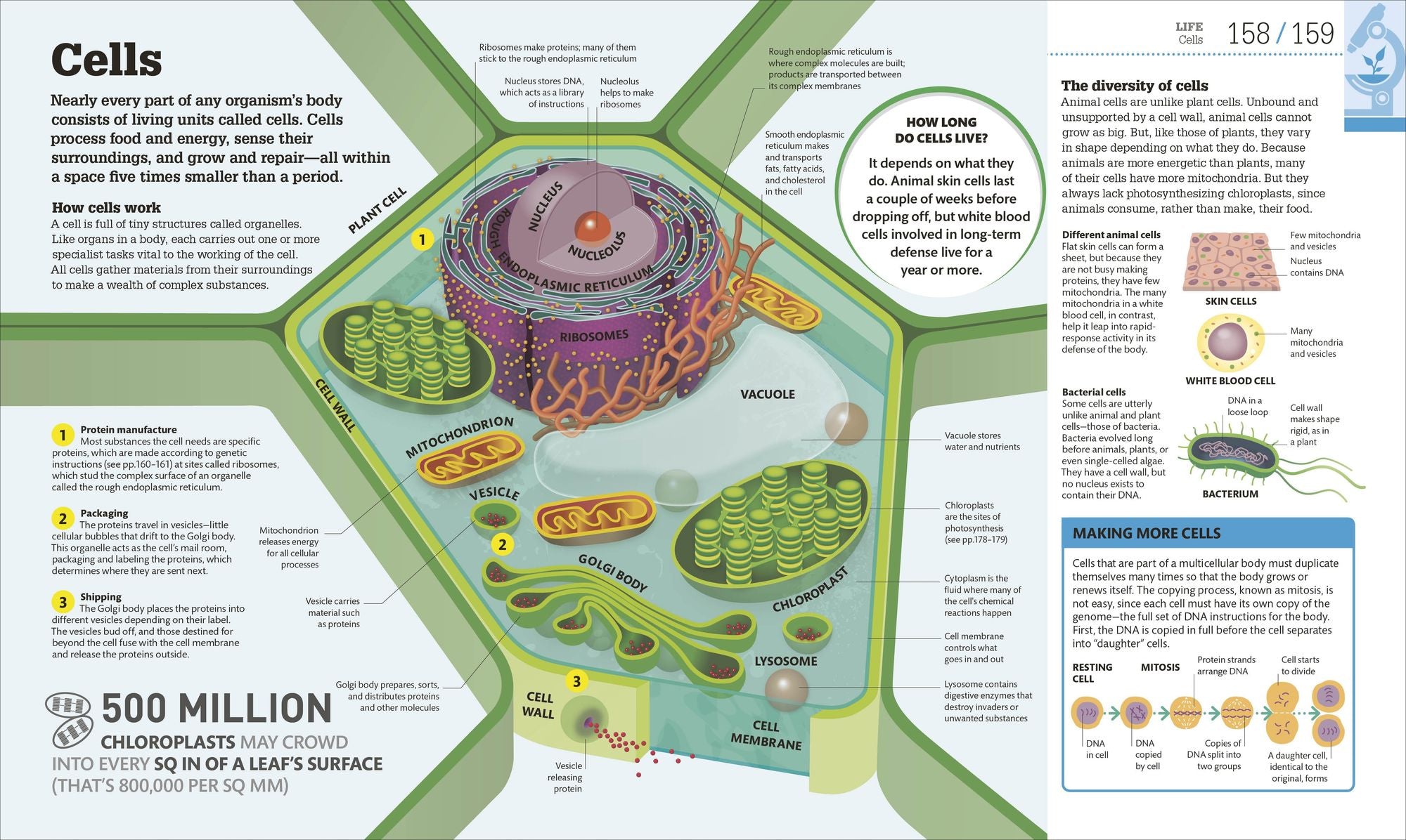 How Science Works: The Facts Visually Explained