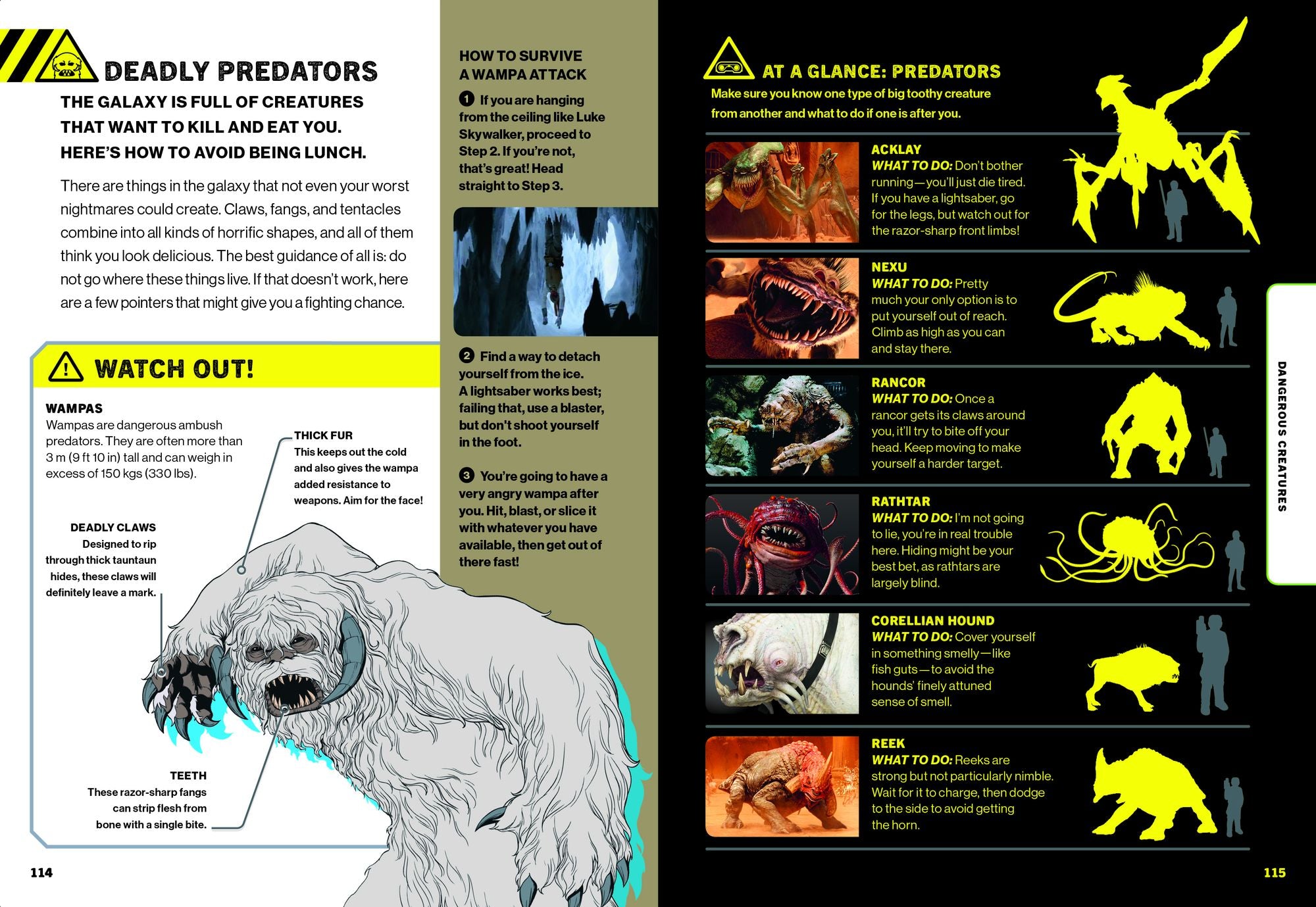 Star Wars How Not to Get Eaten by Ewoks and Other Galactic Survival Skills
