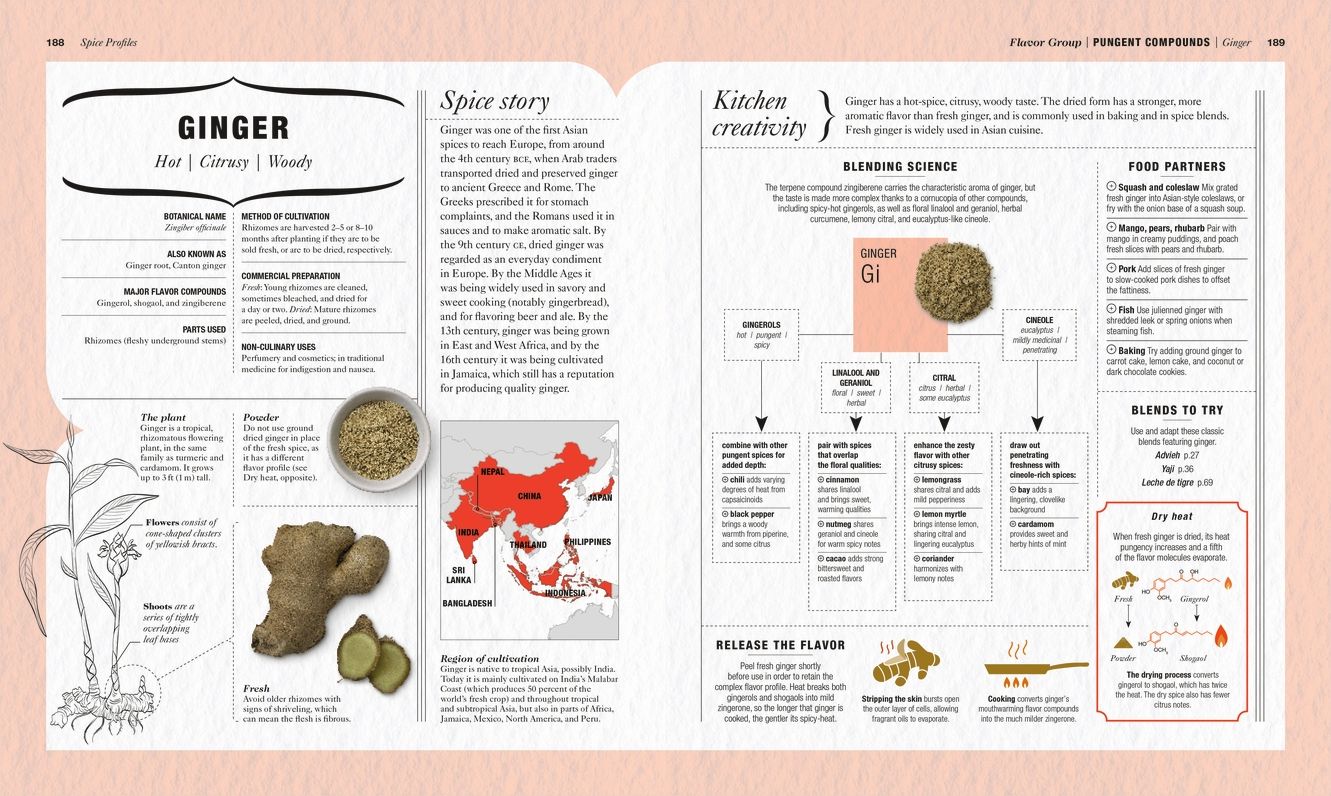 The Science of Spice: Understand Flavor Connections and Revolutionize Your Cooking