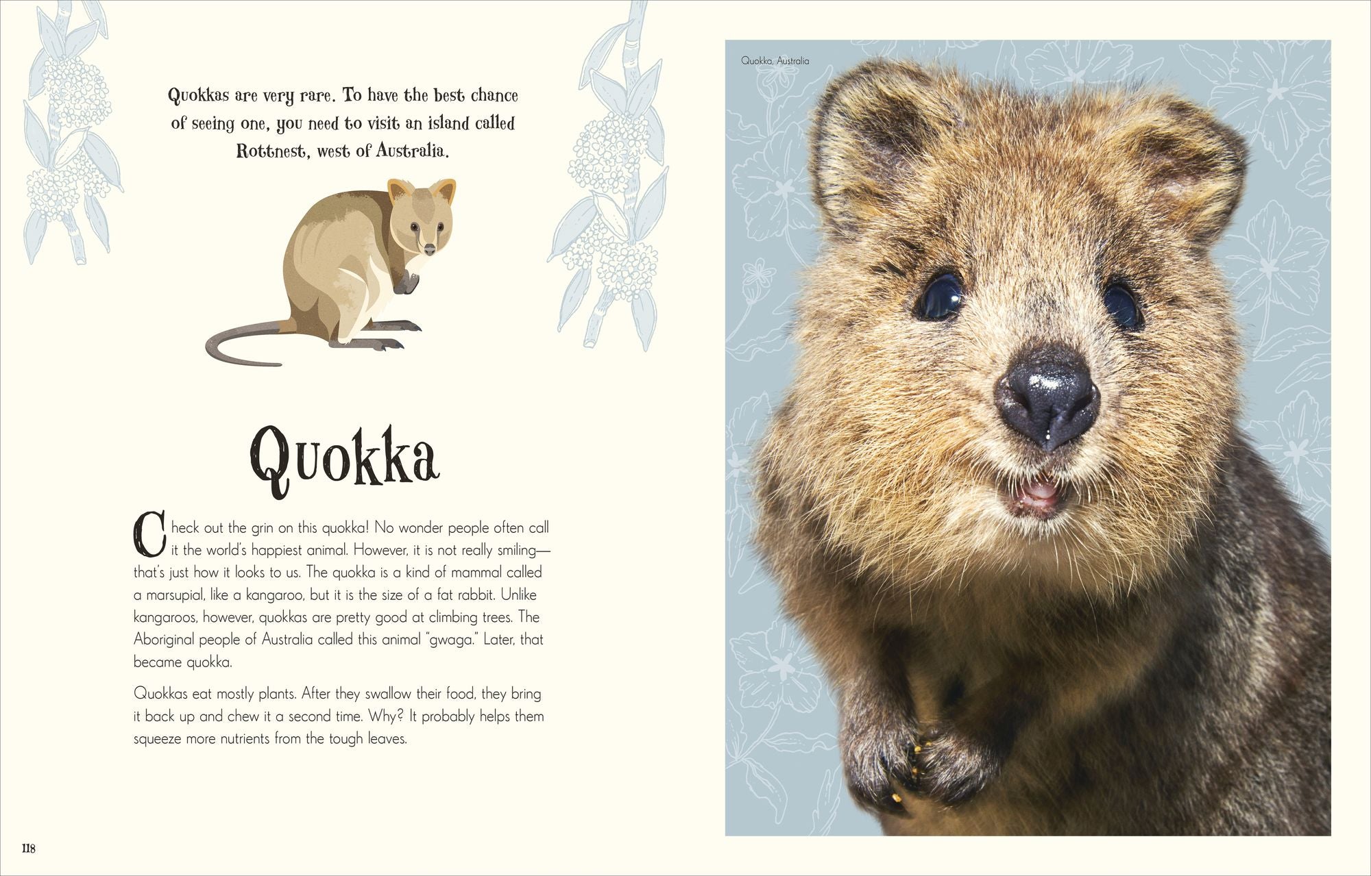 An Anthology of Intriguing Animals: Discover the Fascinating Truths of the Animal Kingdom