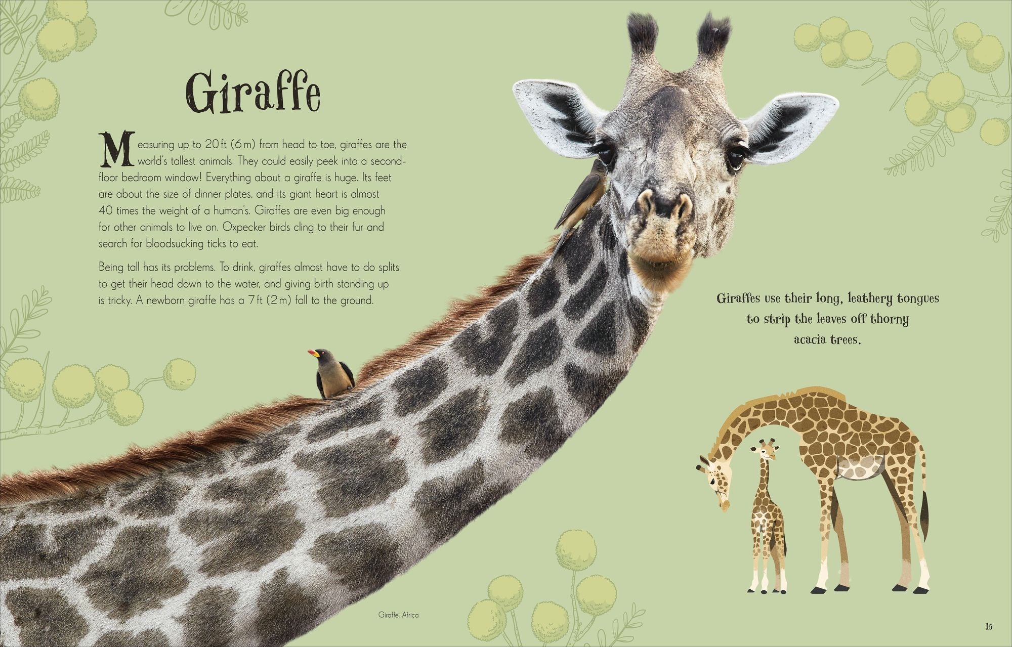 An Anthology of Intriguing Animals: Discover the Fascinating Truths of the Animal Kingdom