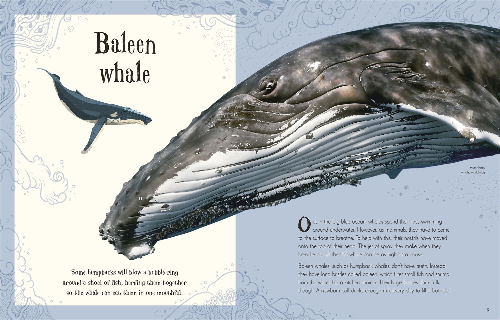 An Anthology of Intriguing Animals: Discover the Fascinating Truths of the Animal Kingdom