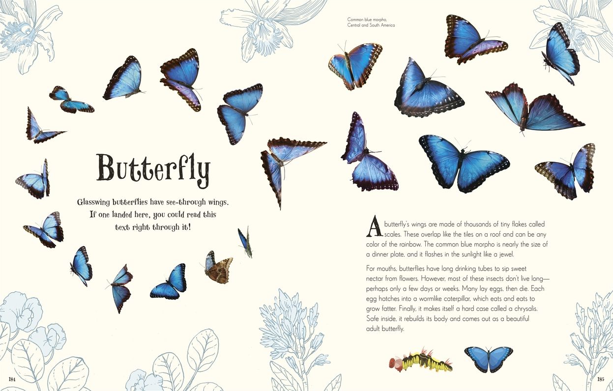 An Anthology of Intriguing Animals: Discover the Fascinating Truths of the Animal Kingdom