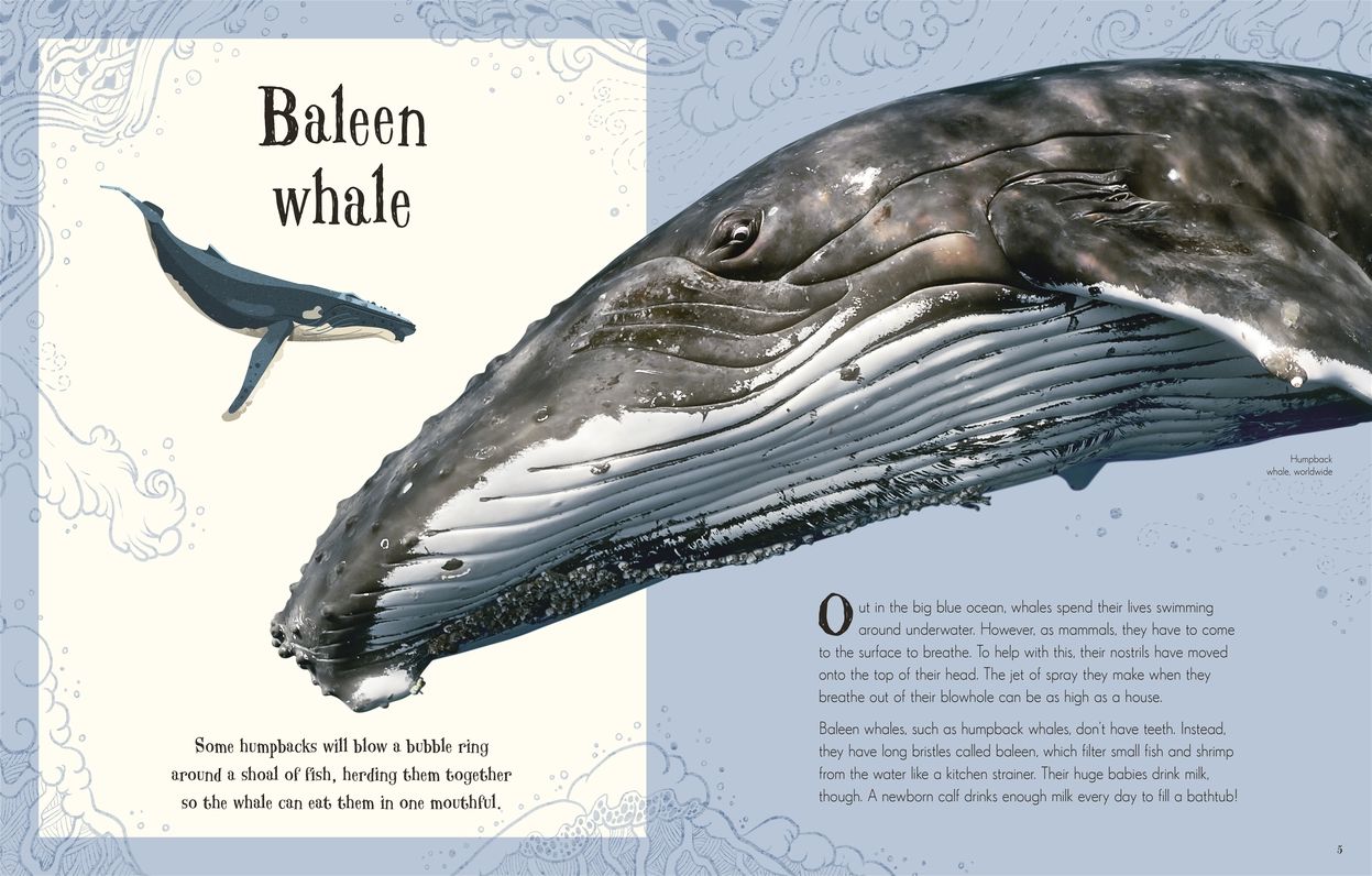 An Anthology of Intriguing Animals: Discover the Fascinating Truths of the Animal Kingdom
