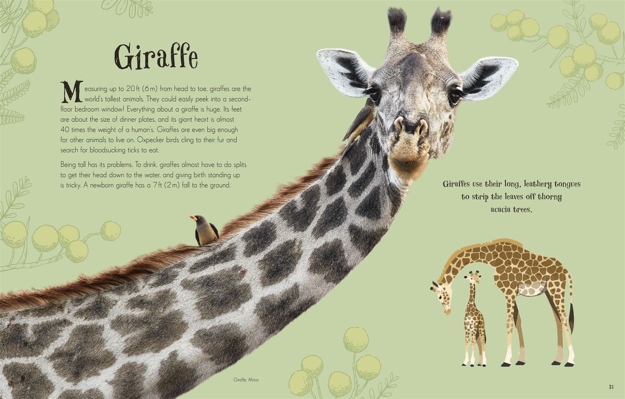 An Anthology of Intriguing Animals: Discover the Fascinating Truths of the Animal Kingdom