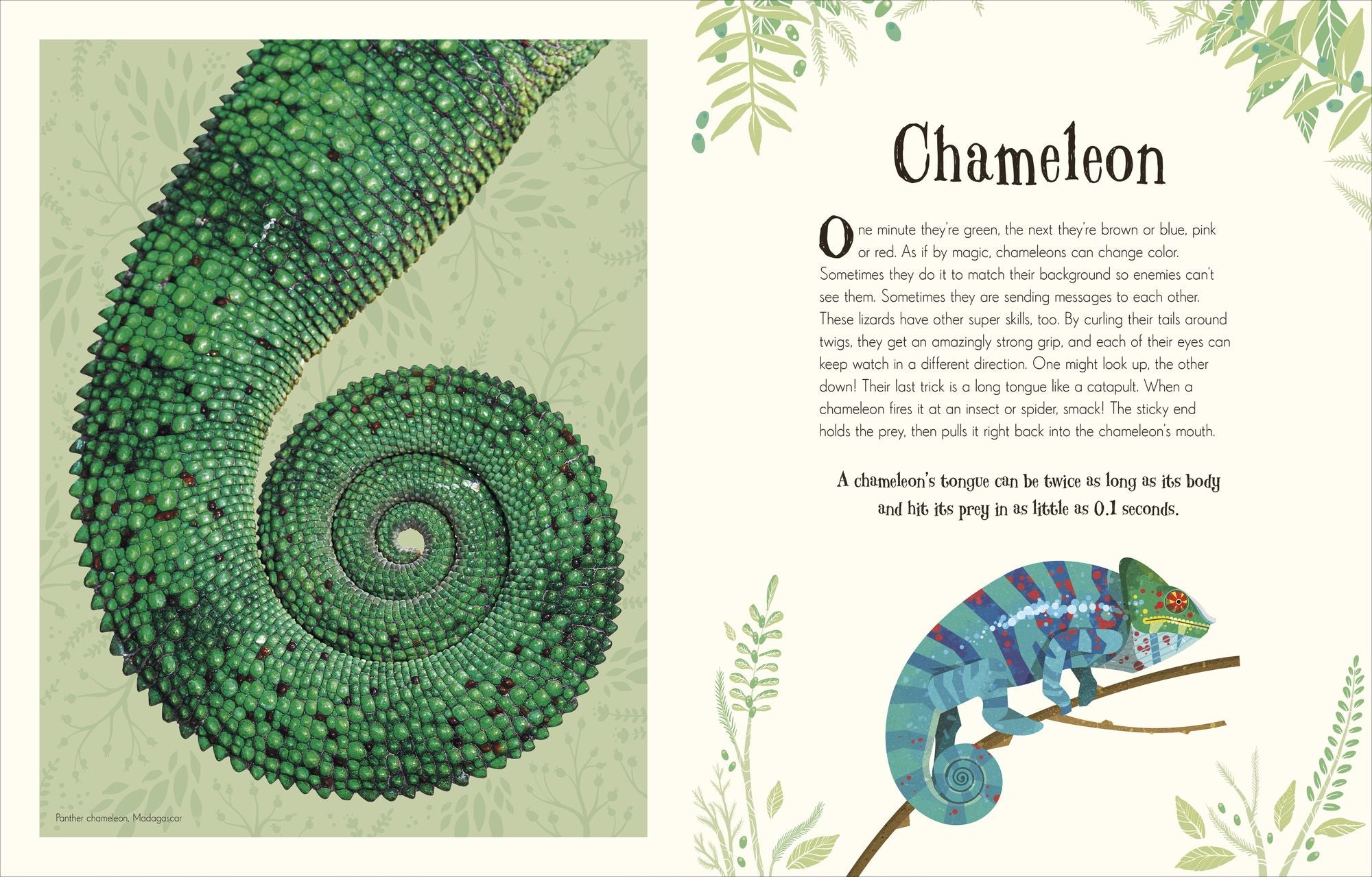 An Anthology of Intriguing Animals: Discover the Fascinating Truths of the Animal Kingdom