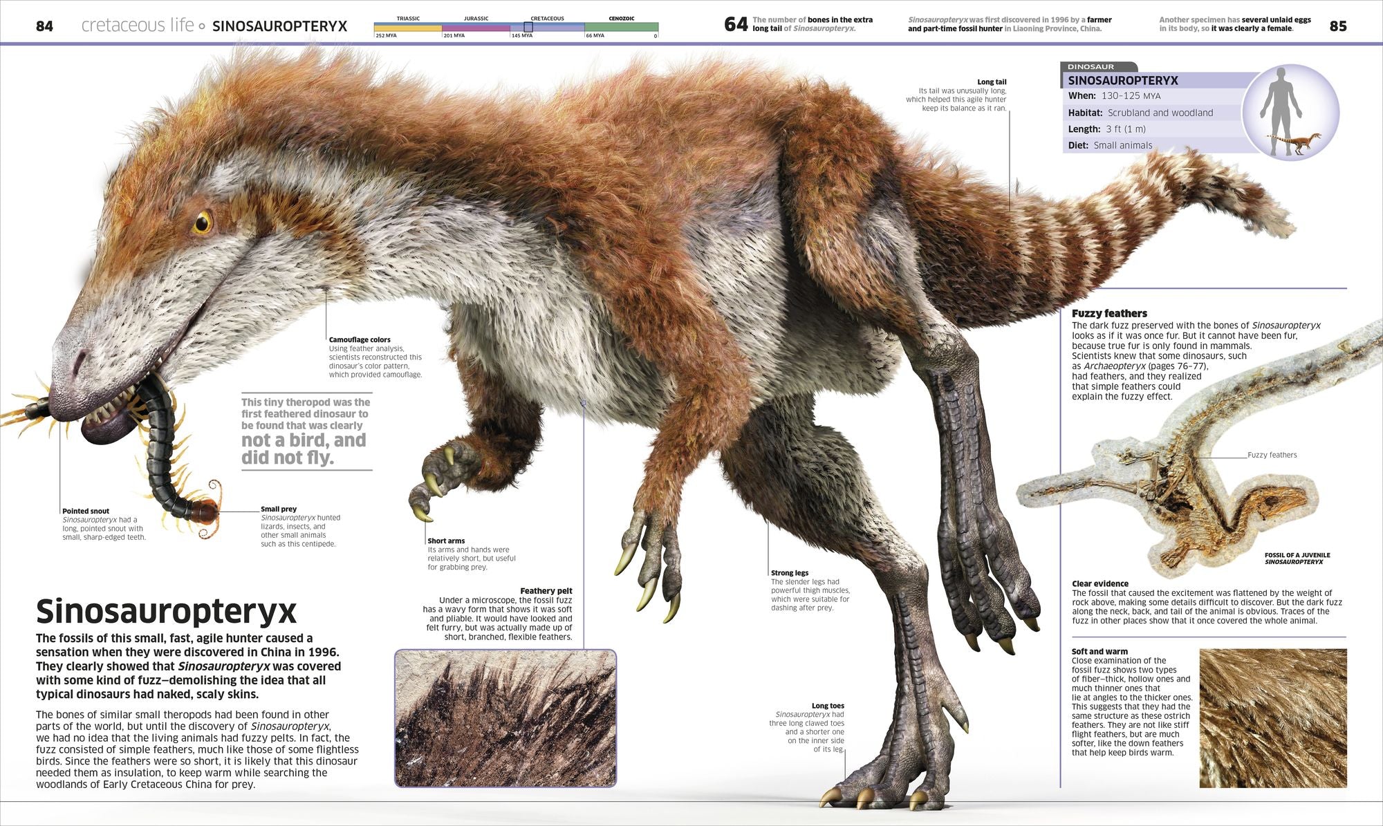 Knowledge Encyclopedia Dinosaur!: Over 60 Prehistoric Creatures as You've Never Seen Them Before