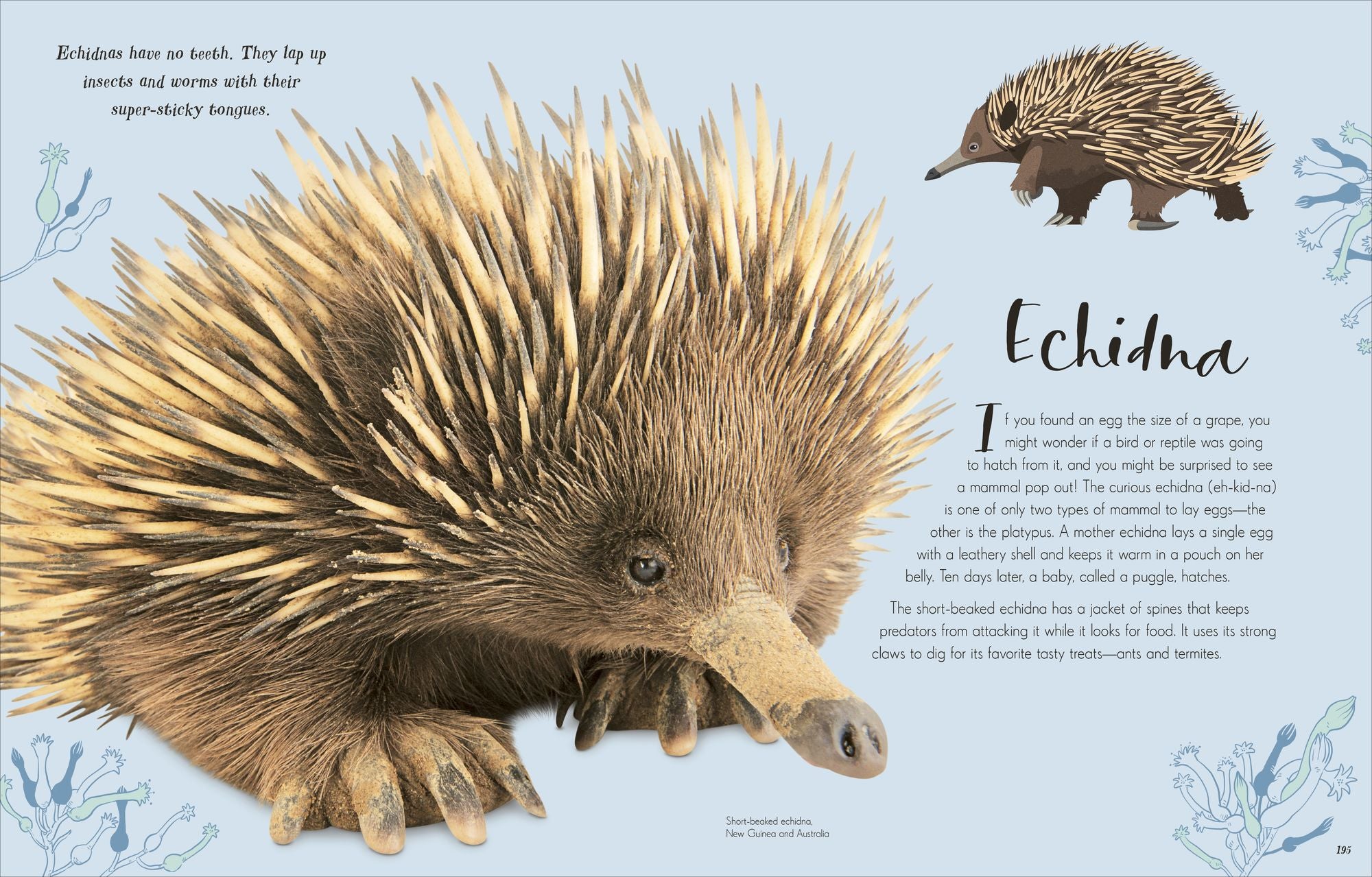 The Wonders of Nature: Discover the Incredible Stories of the Natural World