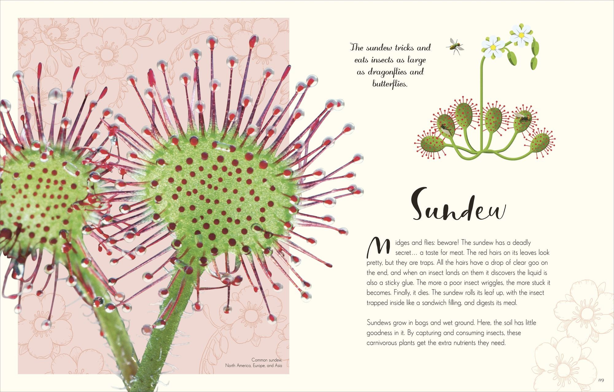 The Wonders of Nature: Discover the Incredible Stories of the Natural World