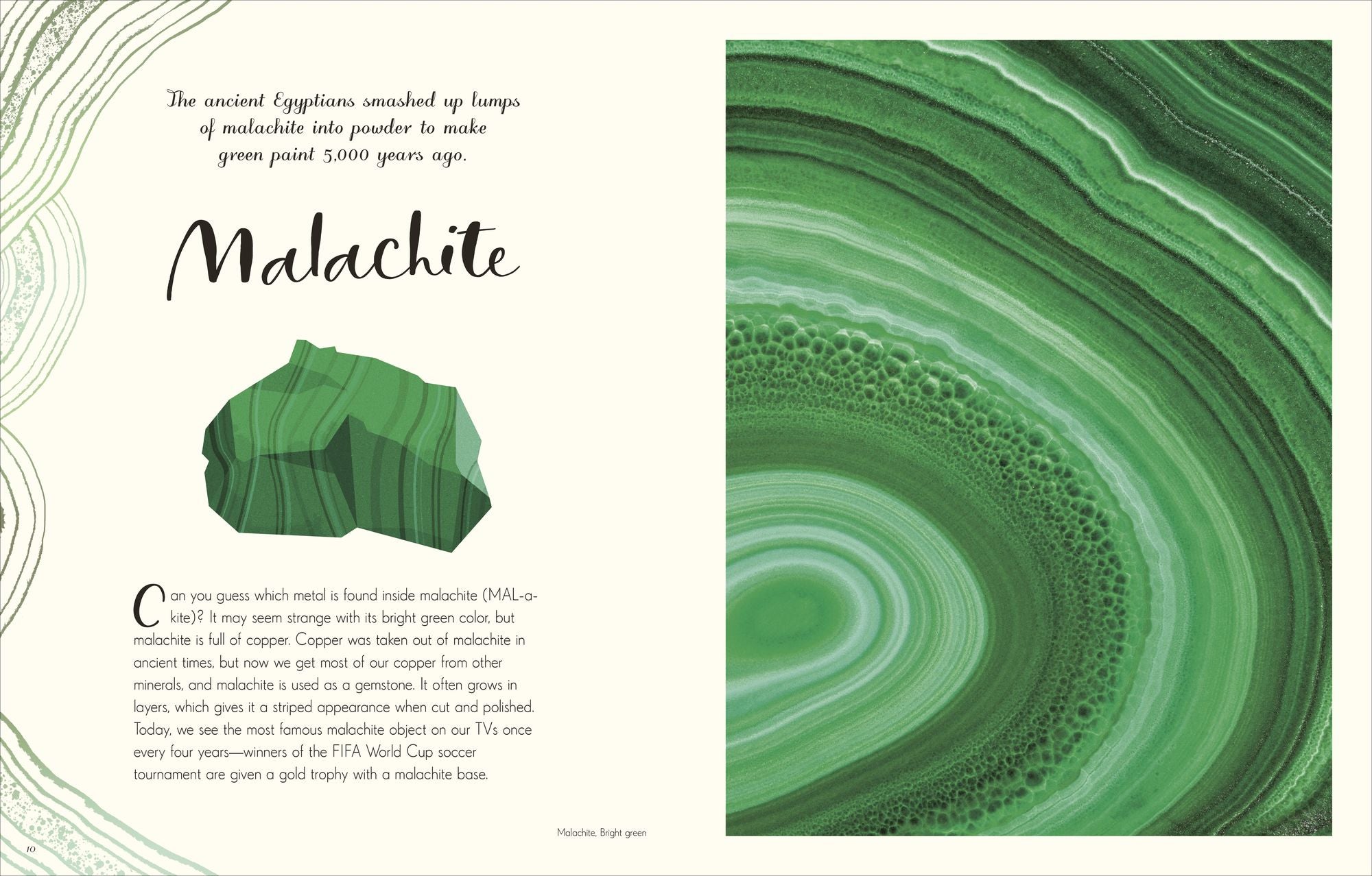 The Wonders of Nature: Discover the Incredible Stories of the Natural World