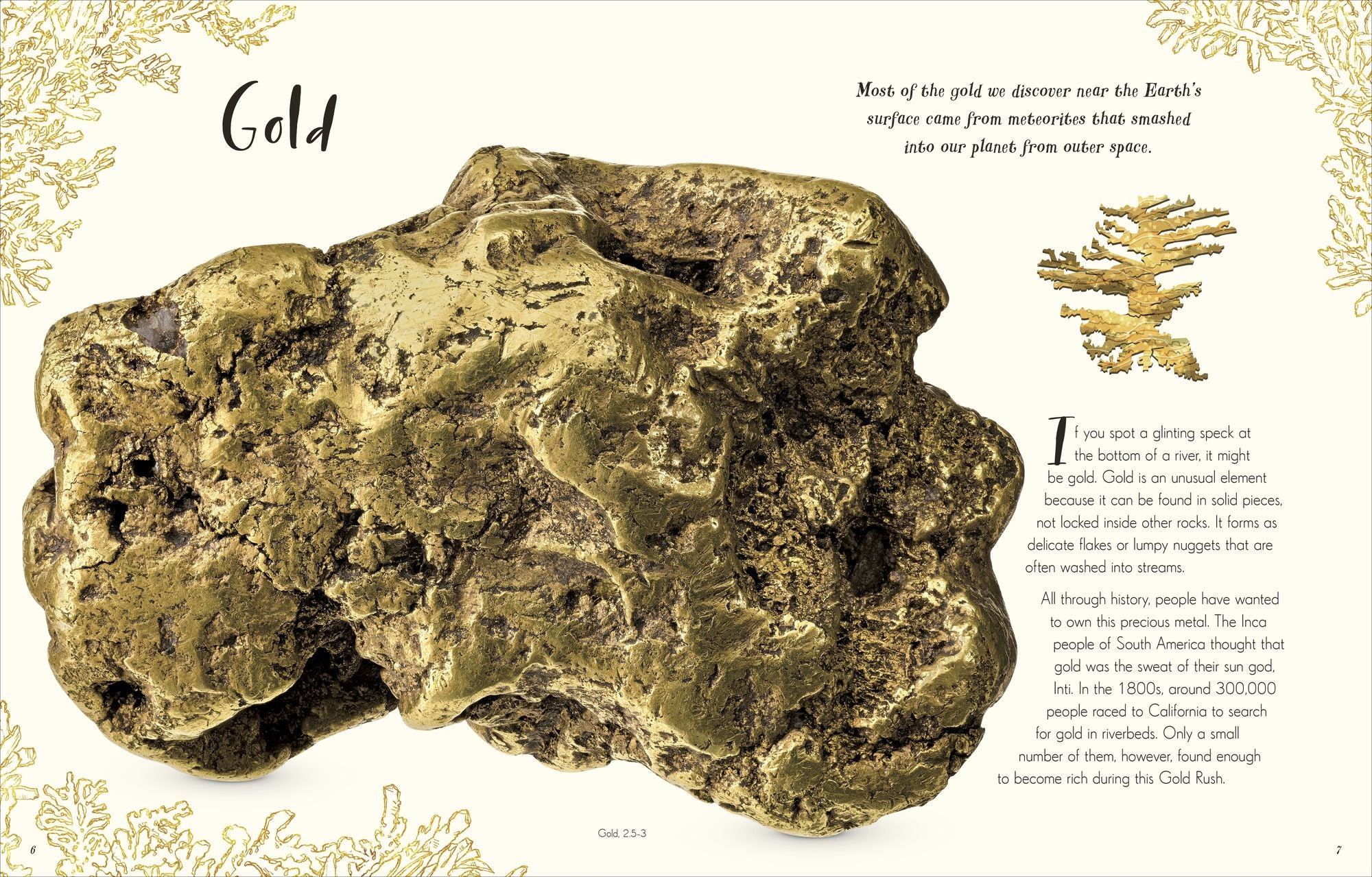 The Wonders of Nature: Discover the Incredible Stories of the Natural World