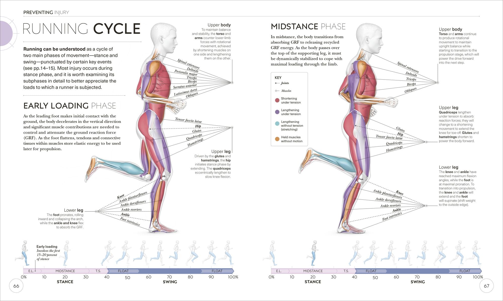 Science of Running: Analyze your Technique, Prevent Injury, Revolutionize your Training