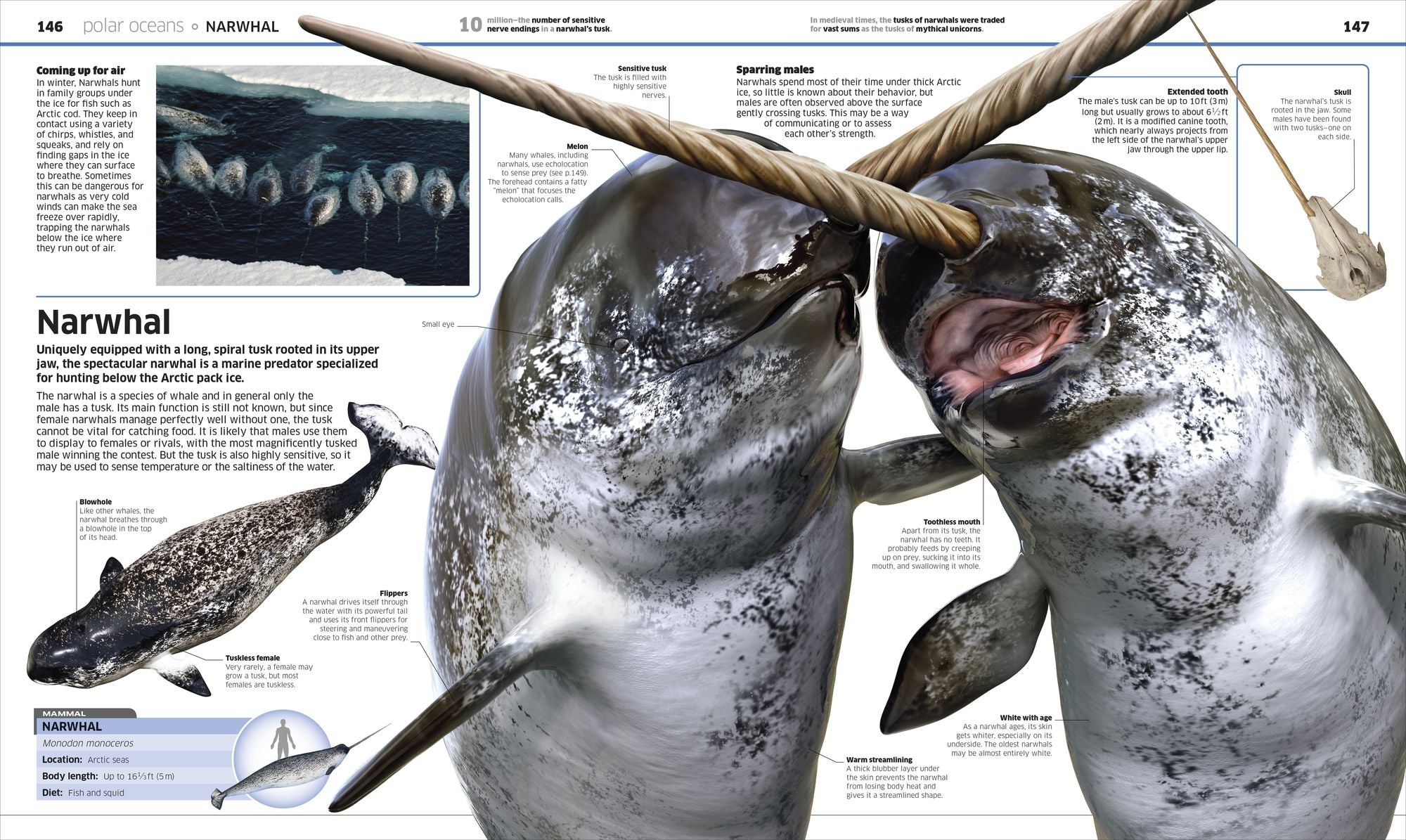 Knowledge Encyclopedia Ocean!