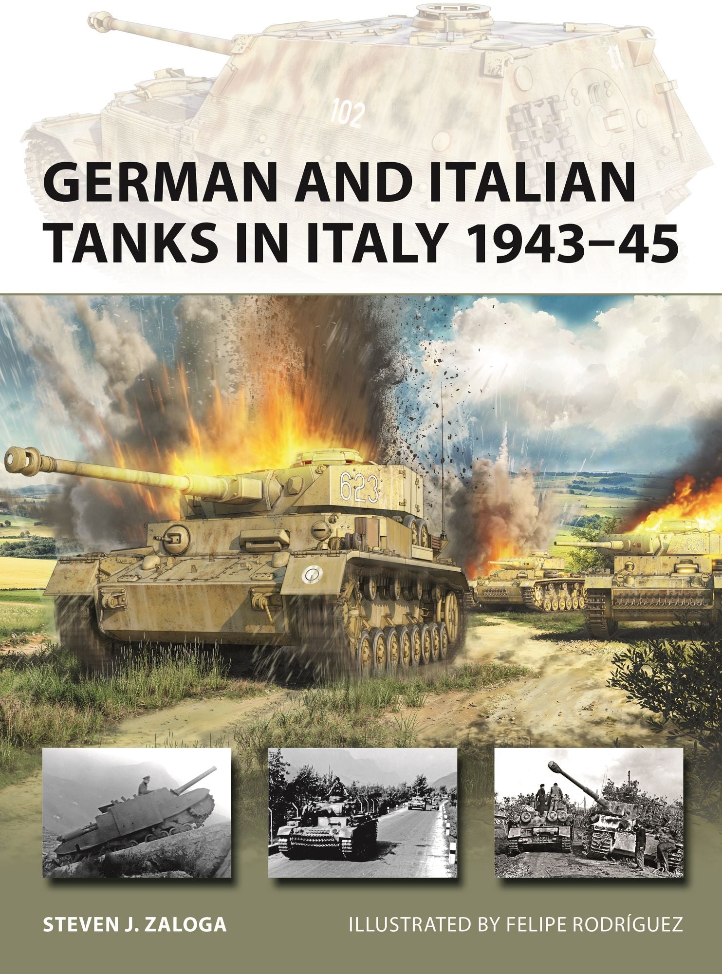 German and Italian Tanks in Italy 1943-45