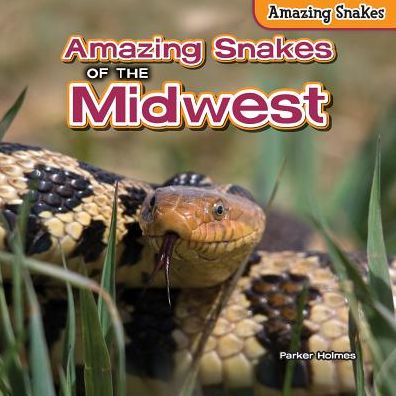 Amazing Snakes of the Midwest