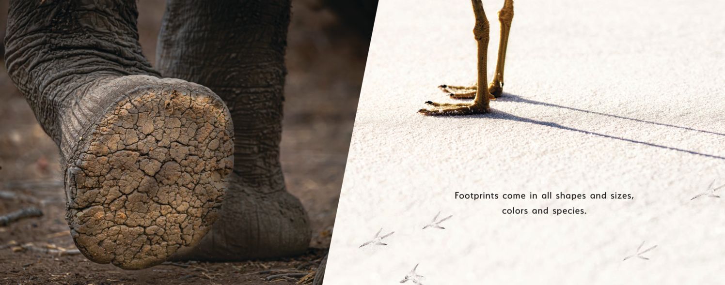 Footprints Across the Planet