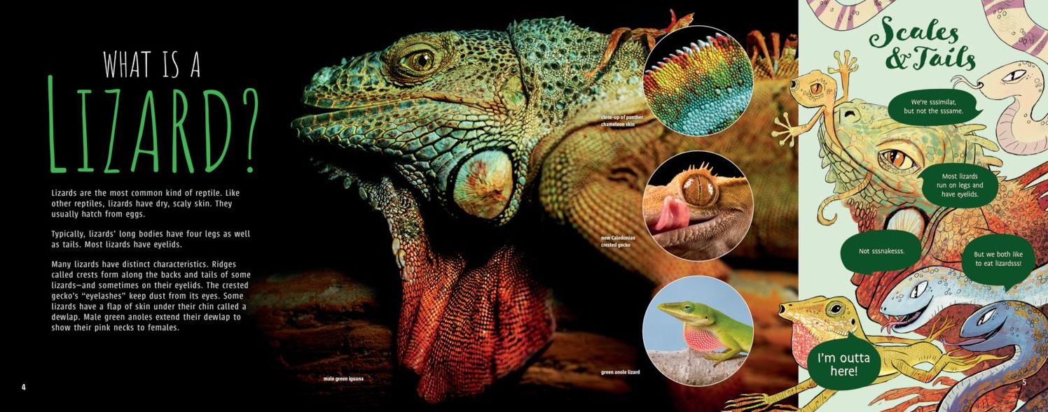 Flick! the Truth about Lizards
