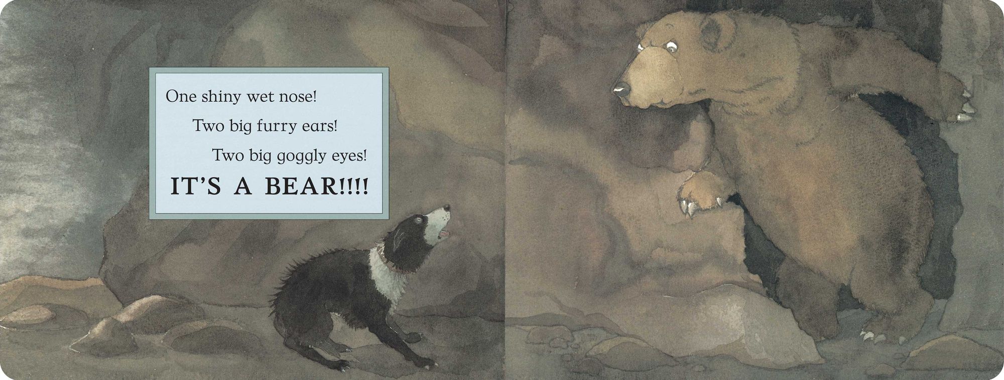 We're Going on a Bear Hunt (Lap Edition)