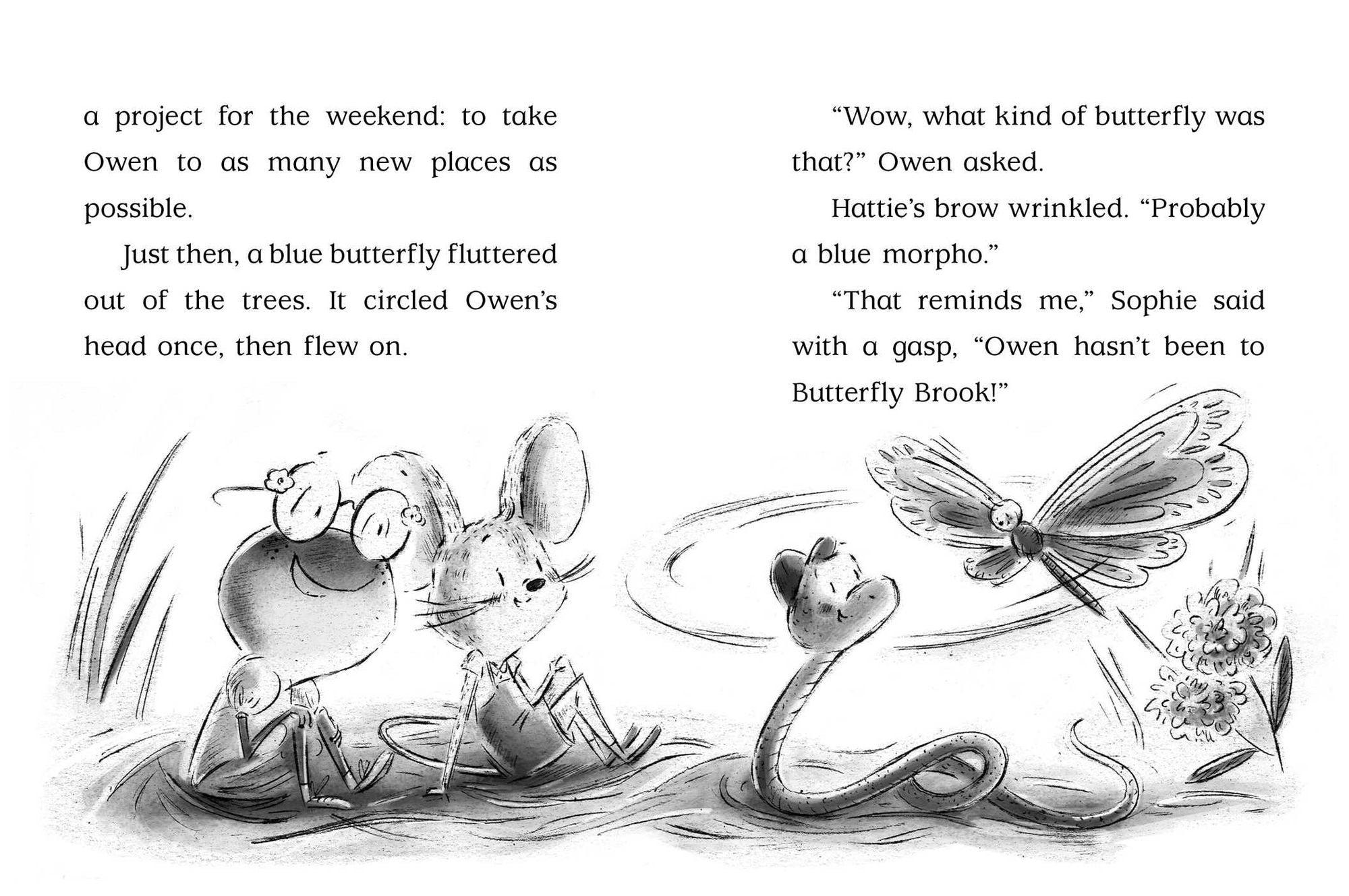 Looking for Winston (Adventures of Sophie Mouse Series #4)